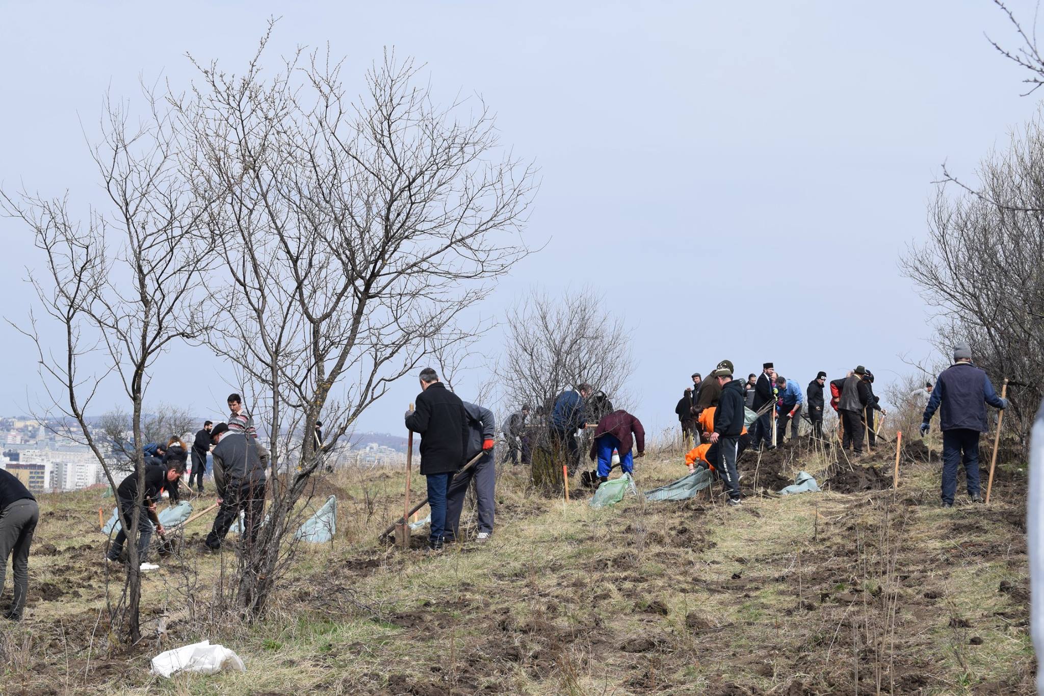Preoţi din Protopopiatul 2 Iaşi au plantat 1.400 de copaci în comuna Bârnova Preoţi din Protopopiatul 2 Iaşi au plantat 1.400 de copaci în comuna Bârnova
