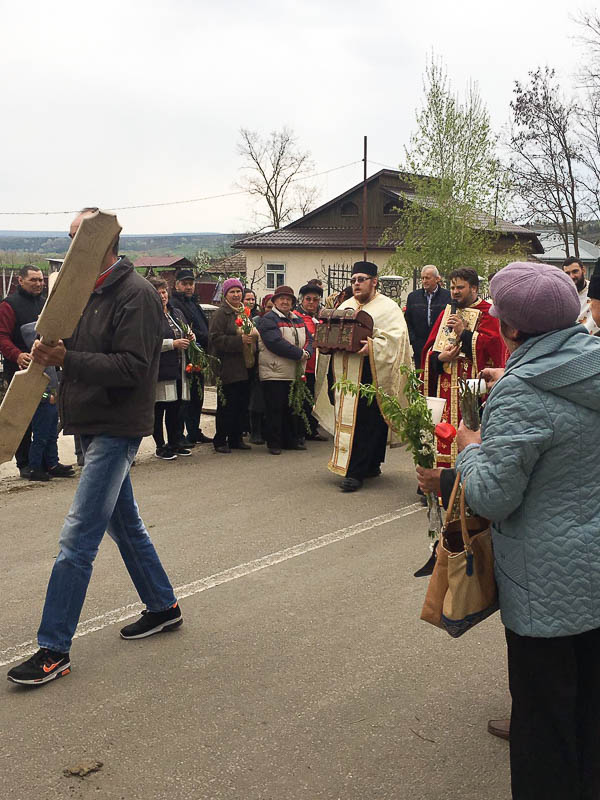 Procesiune de Florii în Parohia Crasnaleuca din Protopopiatul Săveni