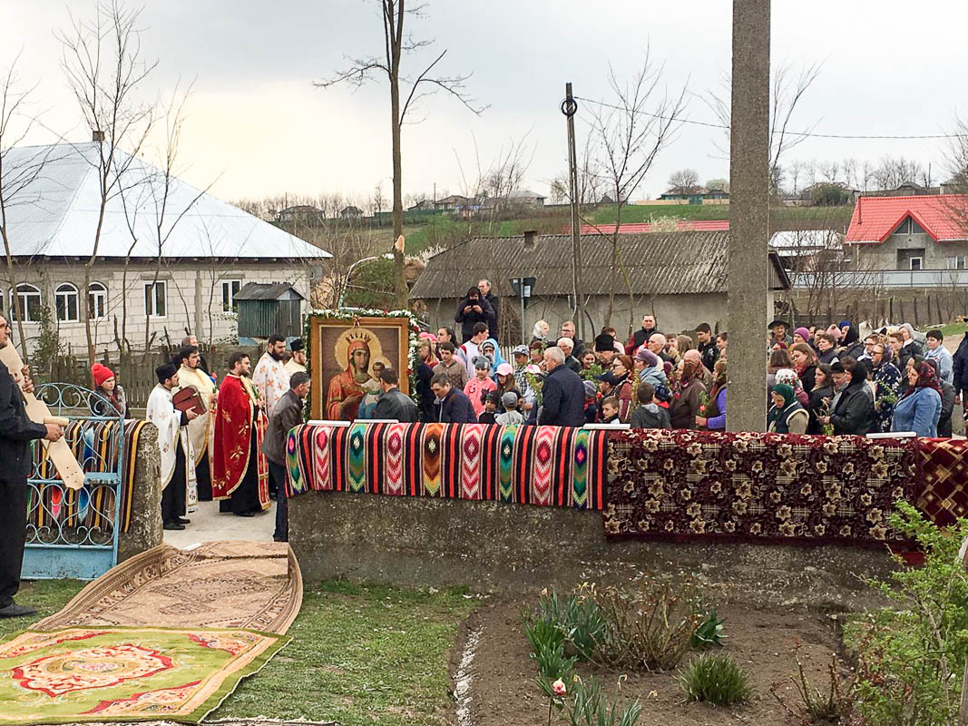 Procesiune de Florii în Parohia Crasnaleuca din Protopopiatul Săveni