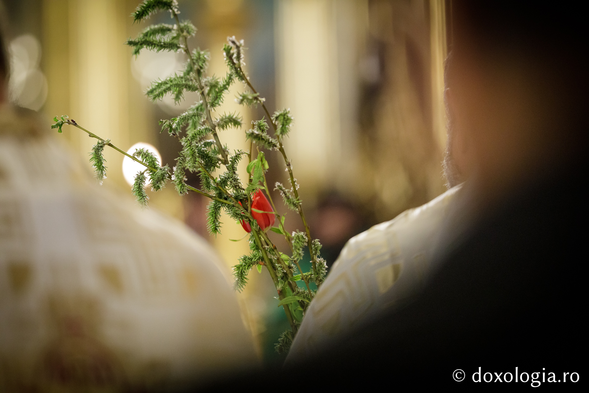 Pelerini pe drumul spre Înviere – Procesiunea de Florii de la Iași/ Foto: Oana Nechifor Astăzi flori, mâine trădare – pelerini pe drumul spre Înviere