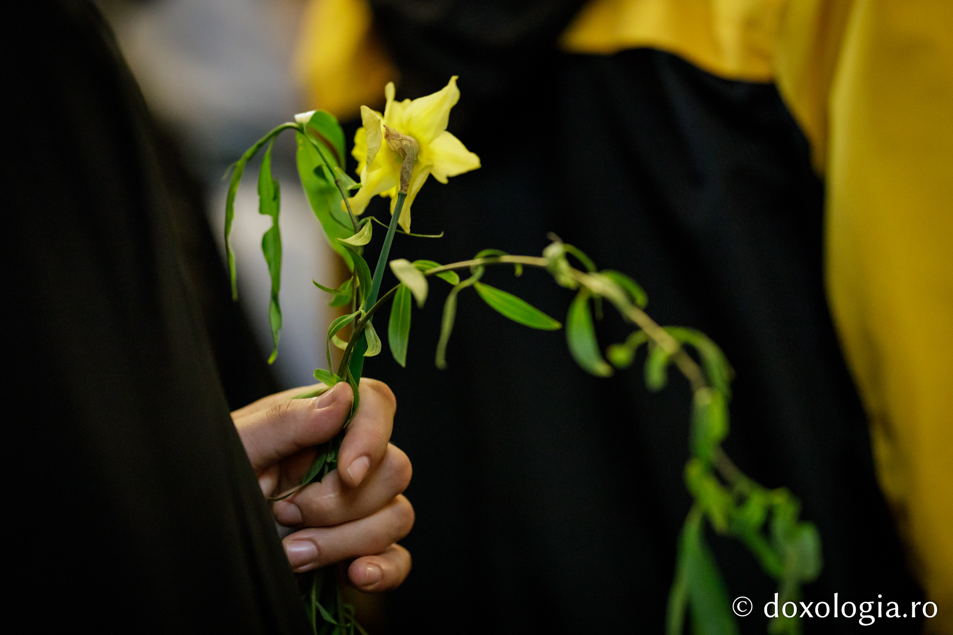 Pelerini pe drumul spre Înviere – Procesiunea de Florii de la Iași/ Foto: Oana Nechifor Astăzi flori, mâine trădare – pelerini pe drumul spre Înviere
