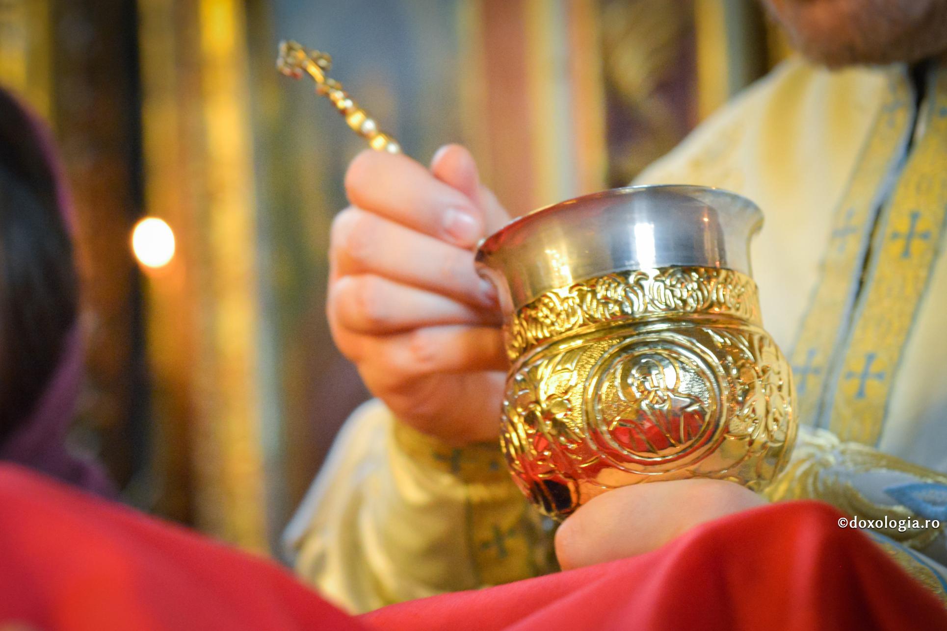 Cei ce nu vor să primească Sfânta Împărtăşanie atunci când sunt bolnavi