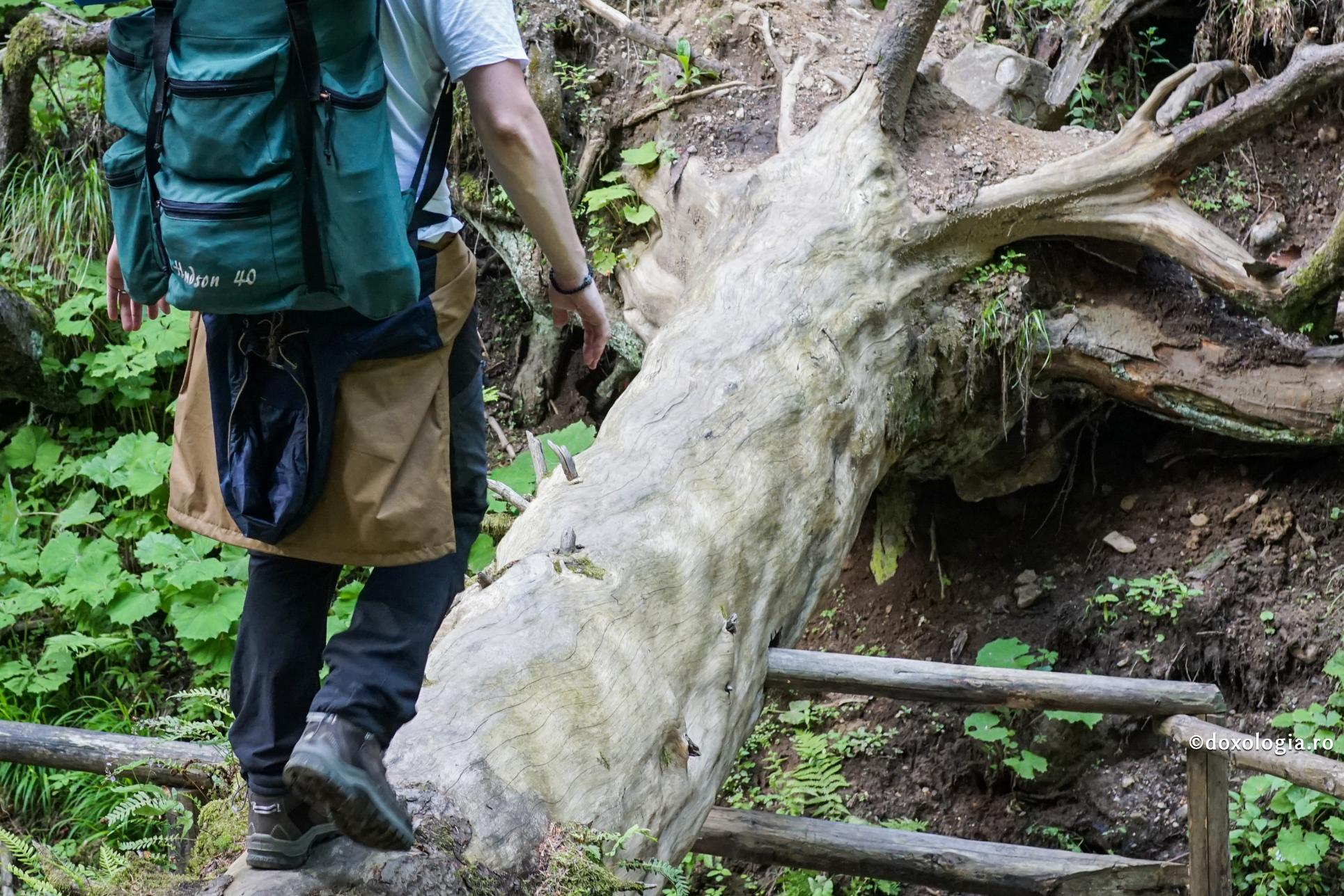 „Nu avem noi aceeași bărbăție, dar harul lui Dumnezeu este același”