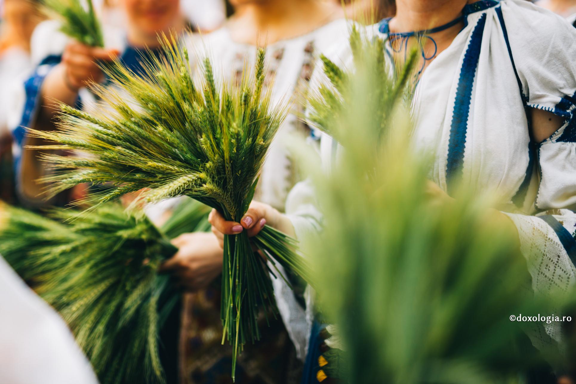 Grâul semnifică ştiinţa cea dumnezeiască