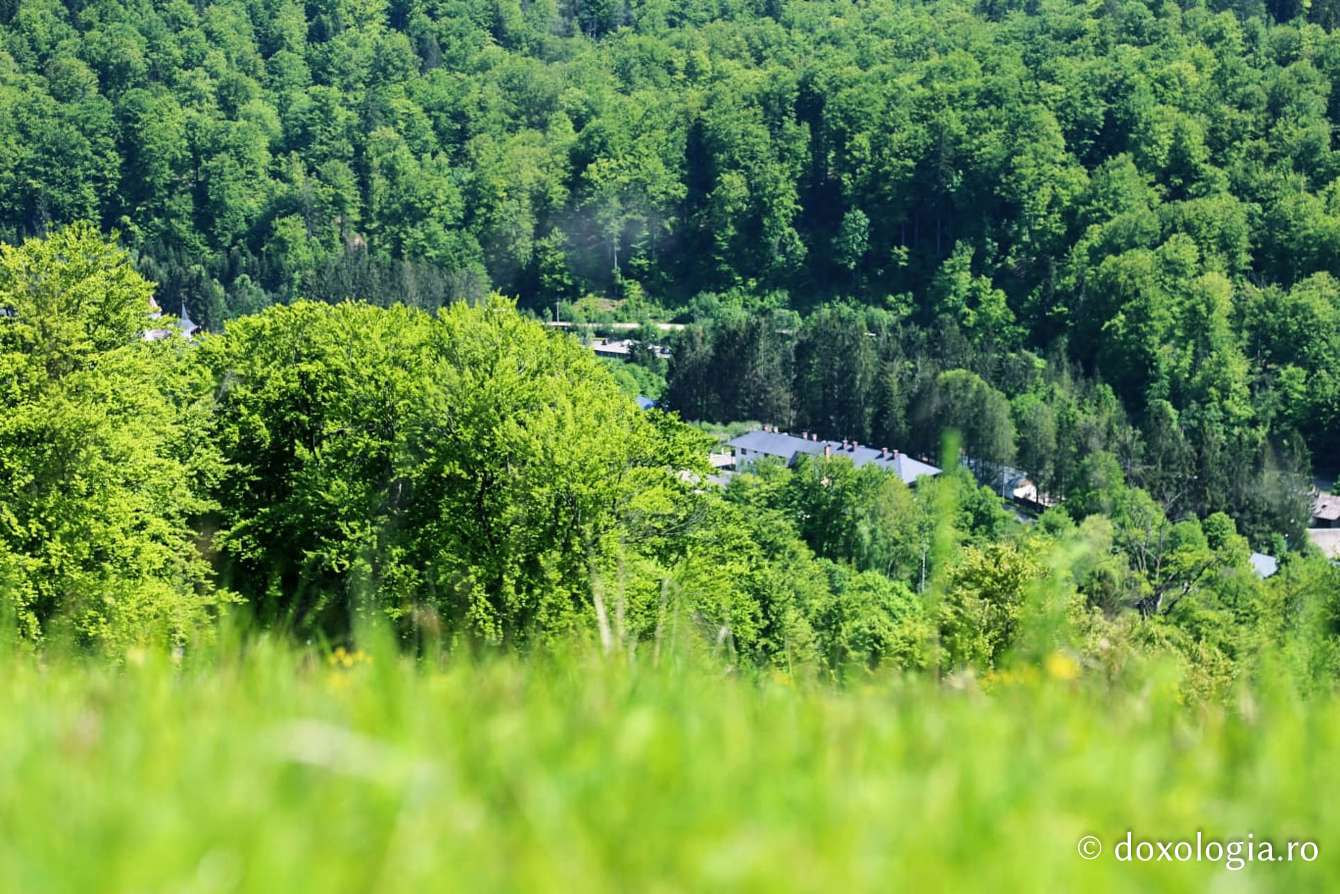 (Foto) Raiul de la Mănăstirea Sihăstria