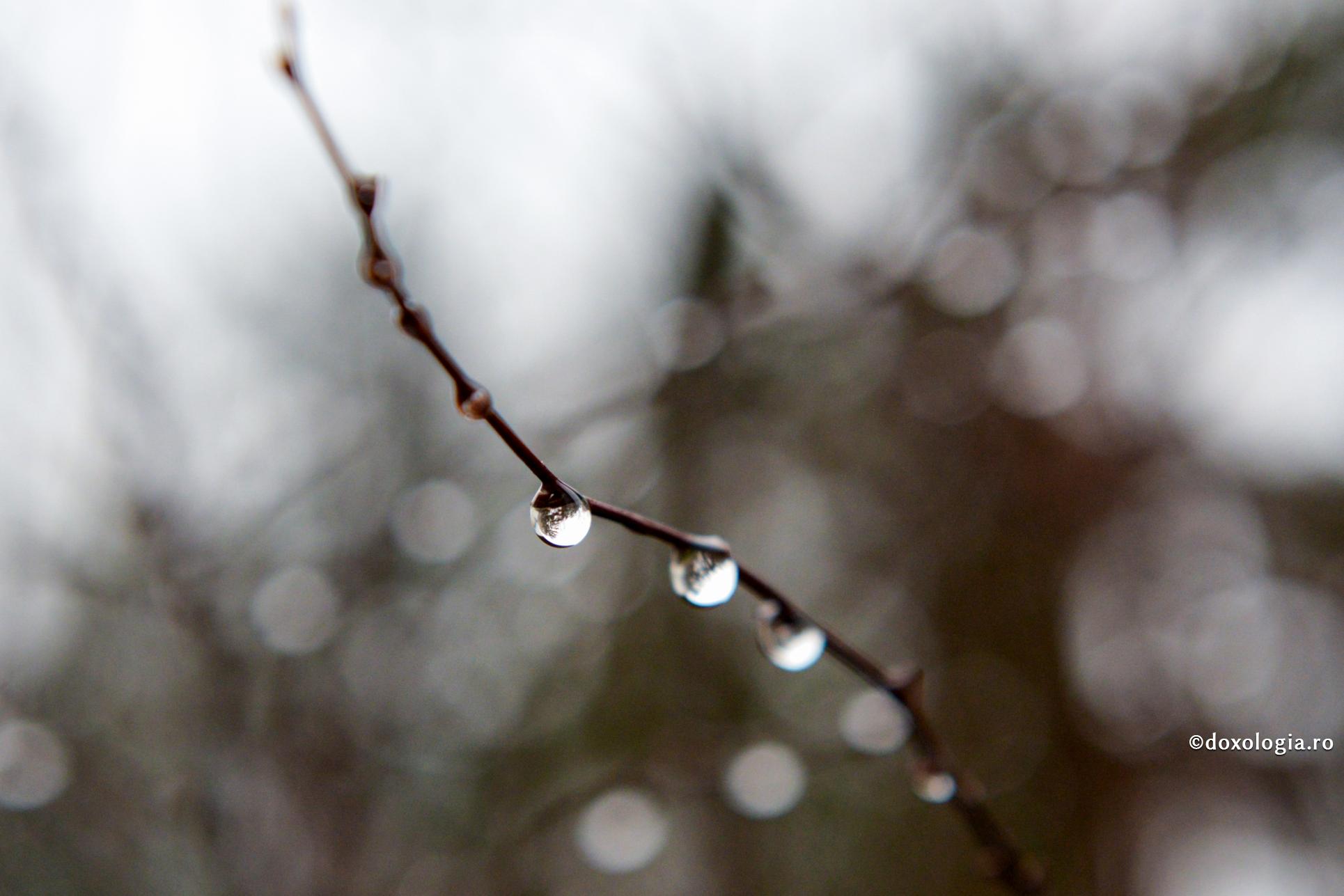 De ce ar trebui să fie „fericiți cei ce plâng”?