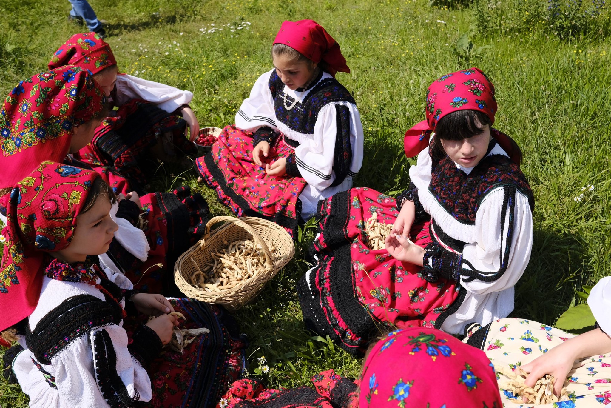 Proiectul „O zi în satul meu” – Episcopia Ortodoxă Română a Maramureşului şi Sătmarului