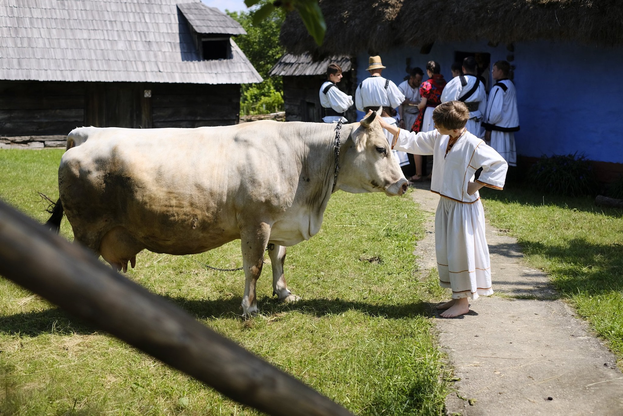 Proiectul „O zi în satul meu” – Episcopia Ortodoxă Română a Maramureşului şi Sătmarului