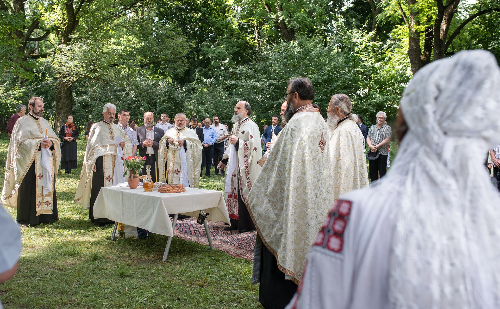 Şerban Sturdza, omul deplin al României verticale