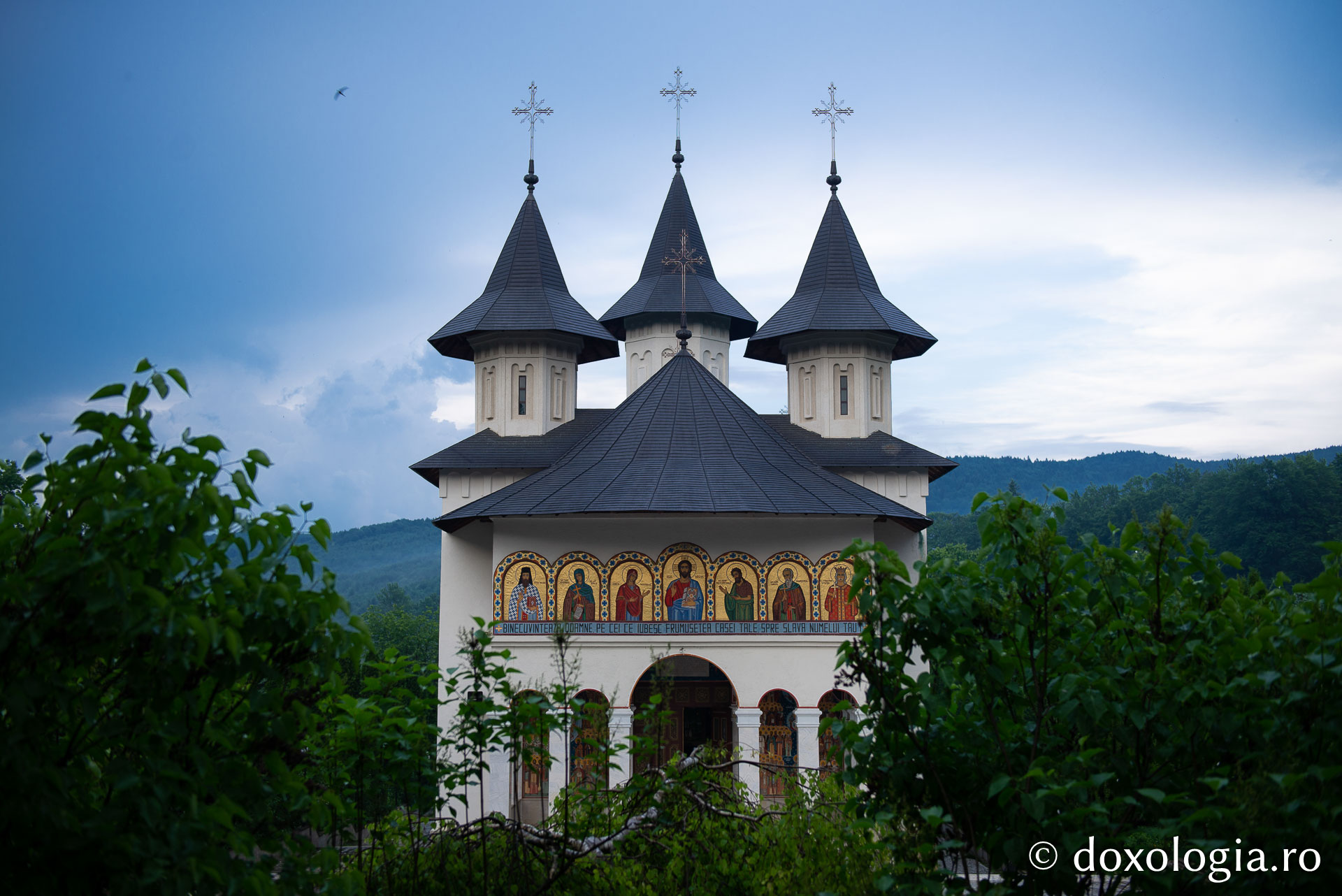 (Foto) Vizită la stupina Mănăstirii Sihăstria