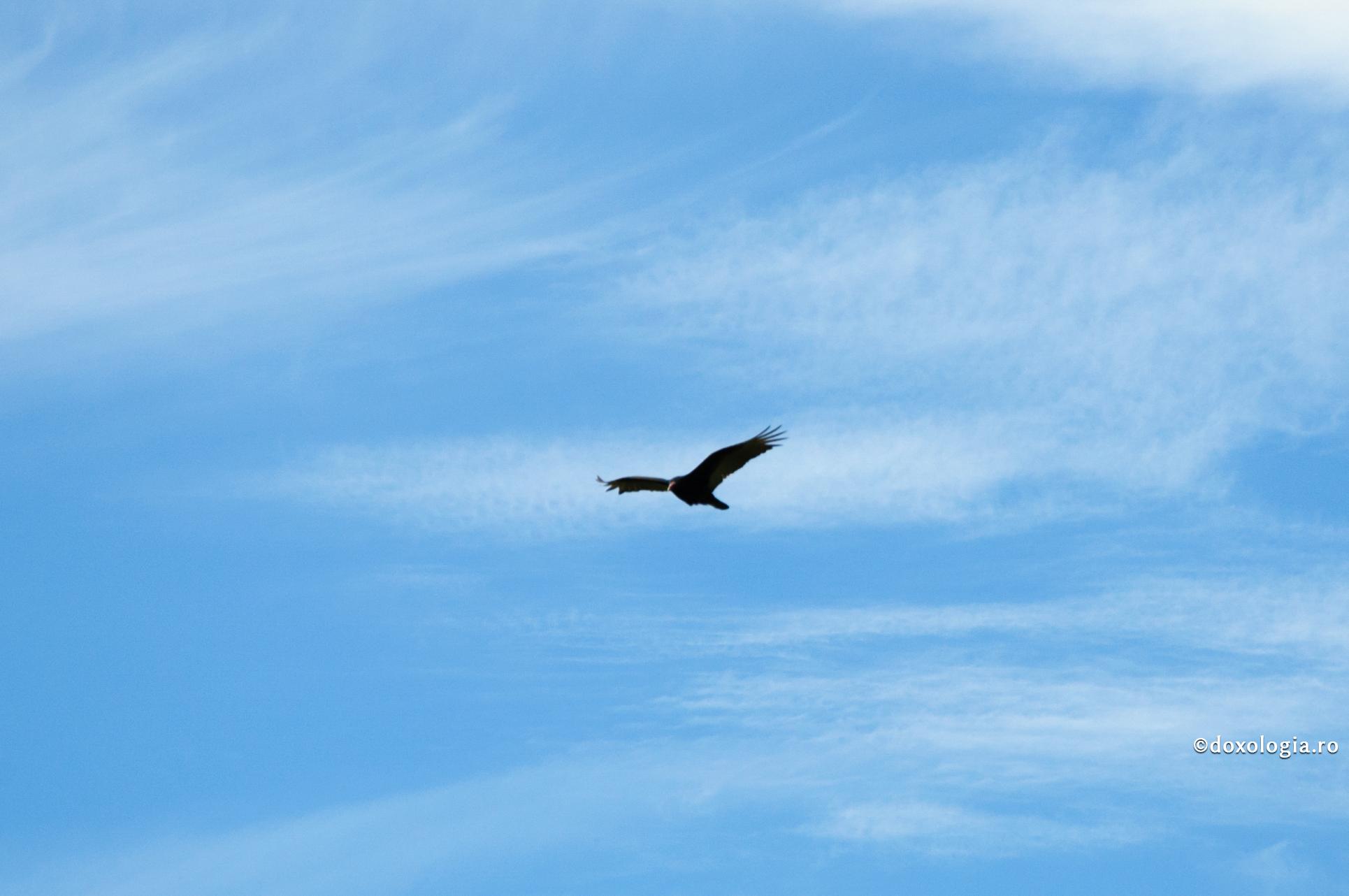 (Video) Conf. Adrian Lemeni: „Trăim într-o societate în care adevărul este ocolit, contestat și trivializat”