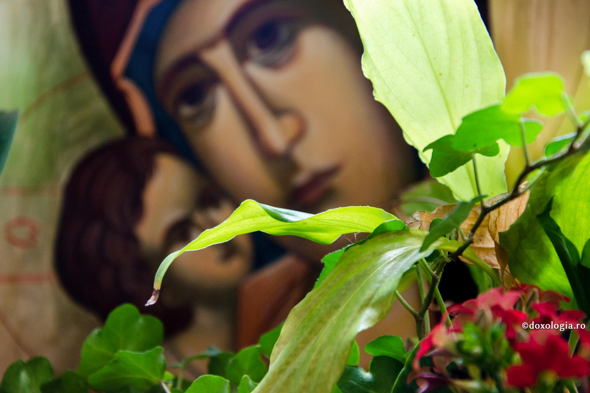 Cu binele și cu dragostea – așa îți poți birui vrăjmașii!