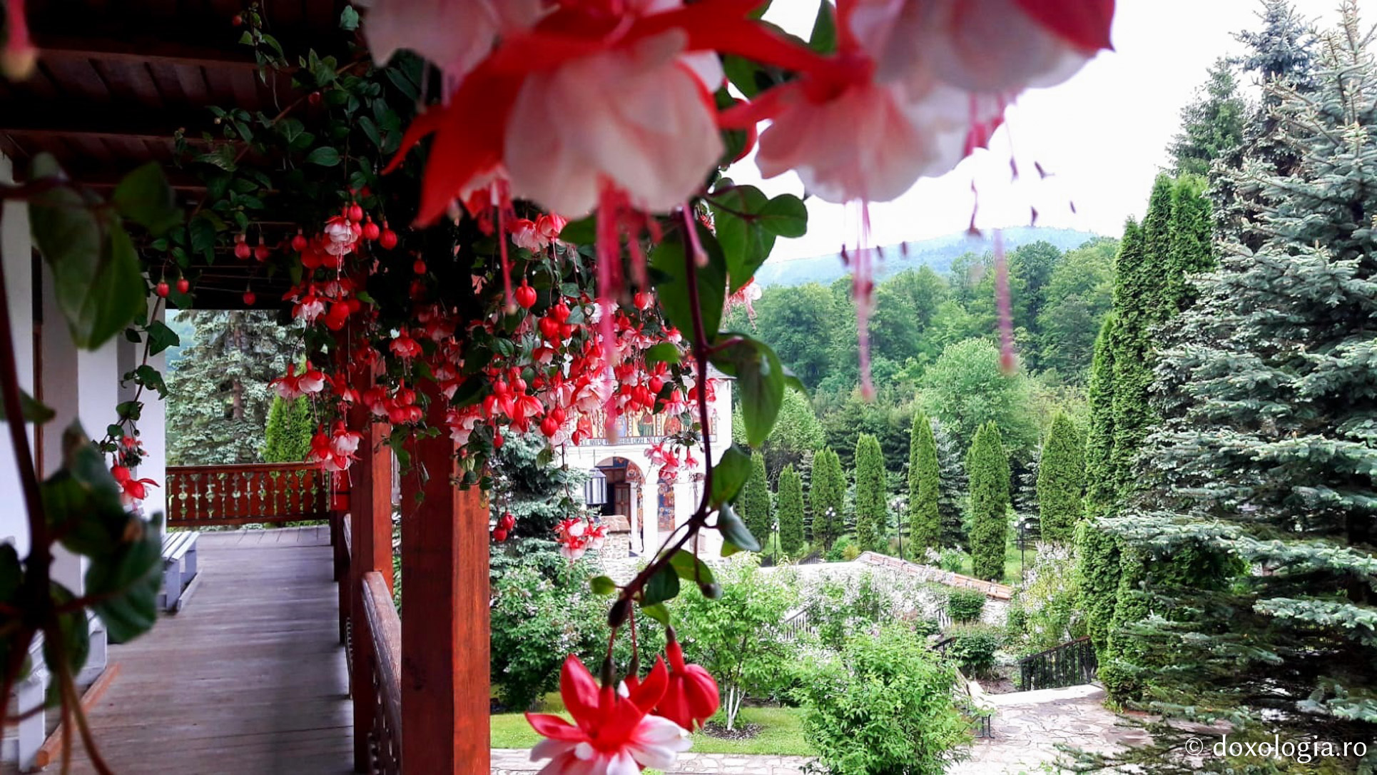 (Foto) Sfârșit de mai la Mănăstirea Sihăstria