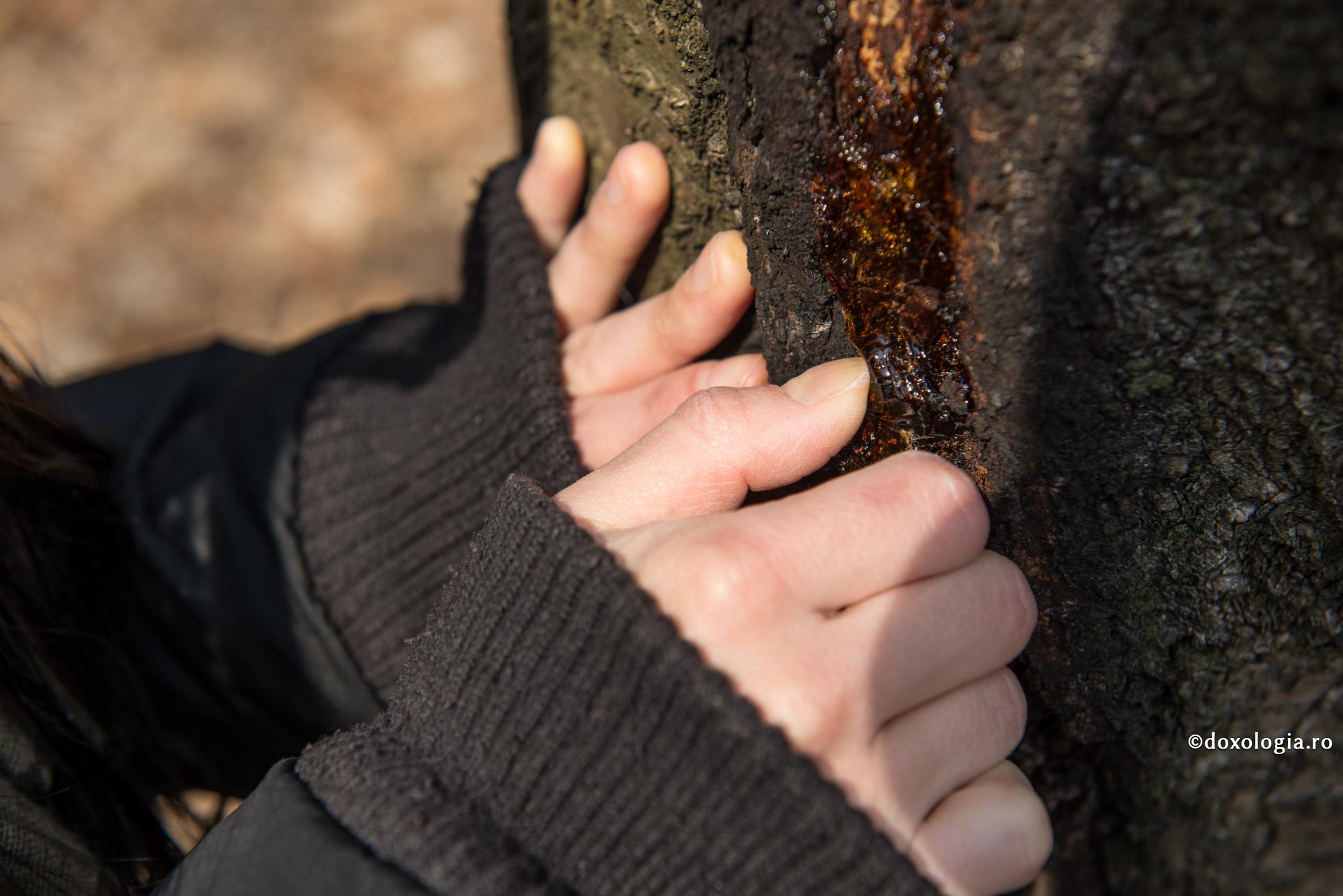 Întrebarea de dinainte de vindecare: „Crezi cu statornicie în Dumnezeu?”