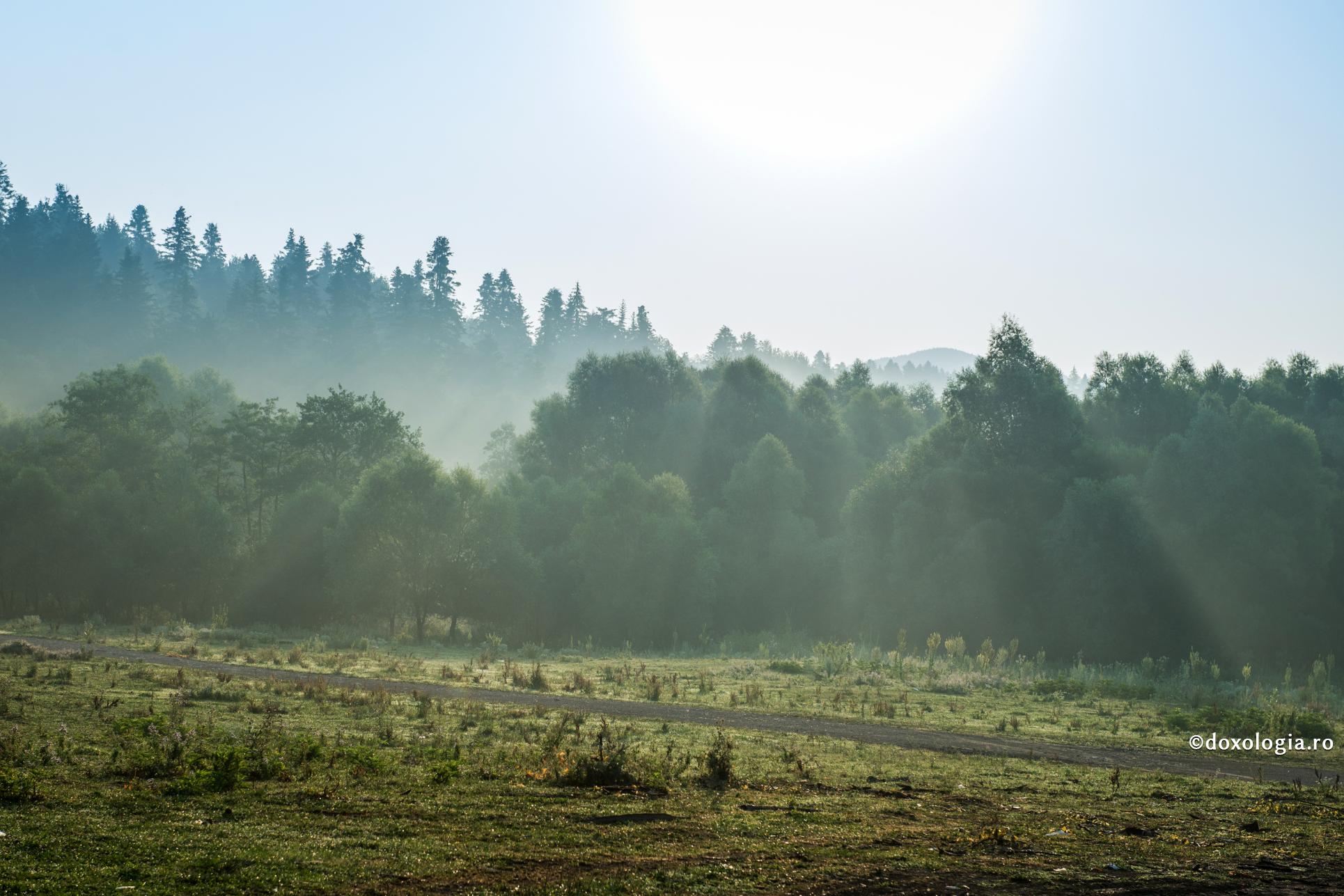 „Cum se face că dumneavoastră, chirurg atât de vestit, credeţi în Cel pe care nu l-a văzut nimeni, niciodată?”