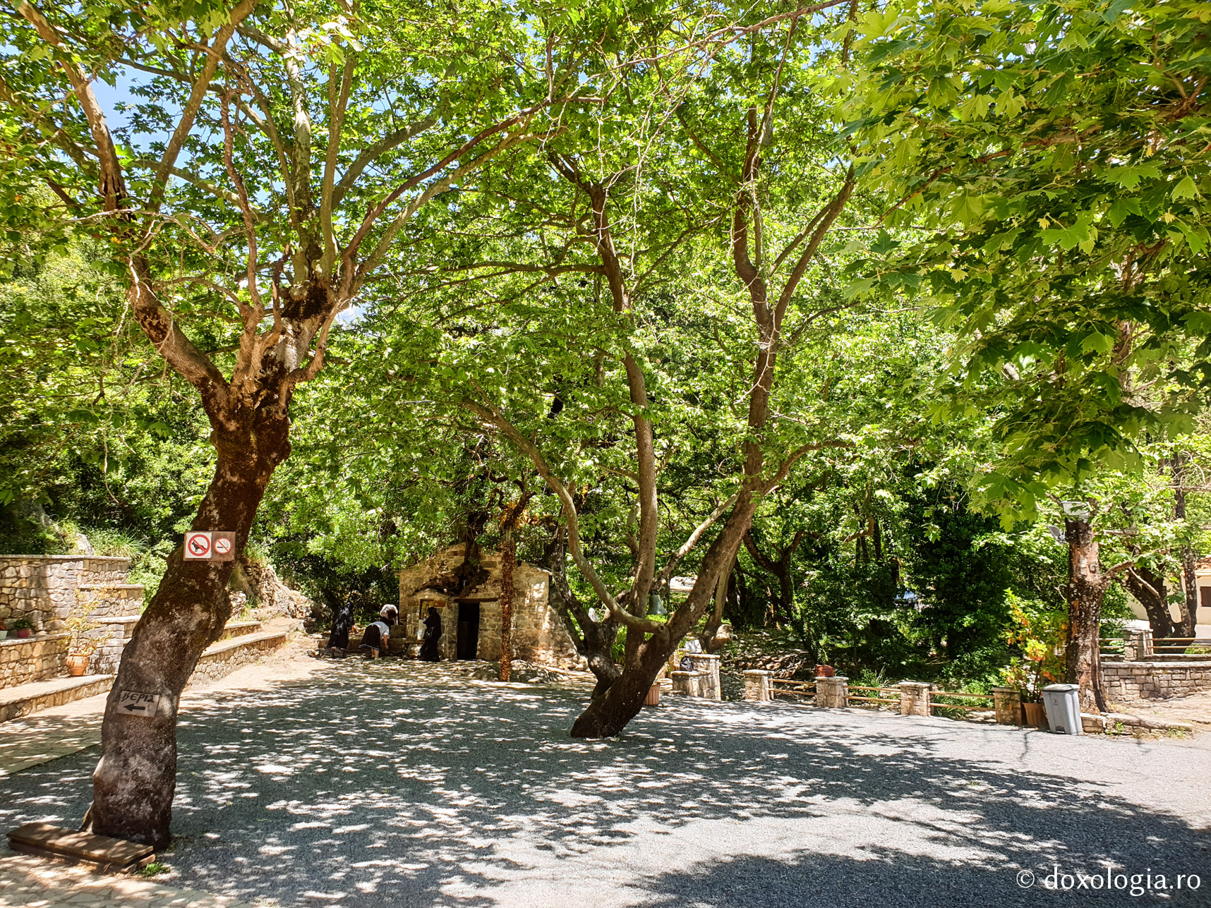 (Foto) Bisericuța din care cresc 17 copaci - acasă la Sfânta Teodora din Vasta