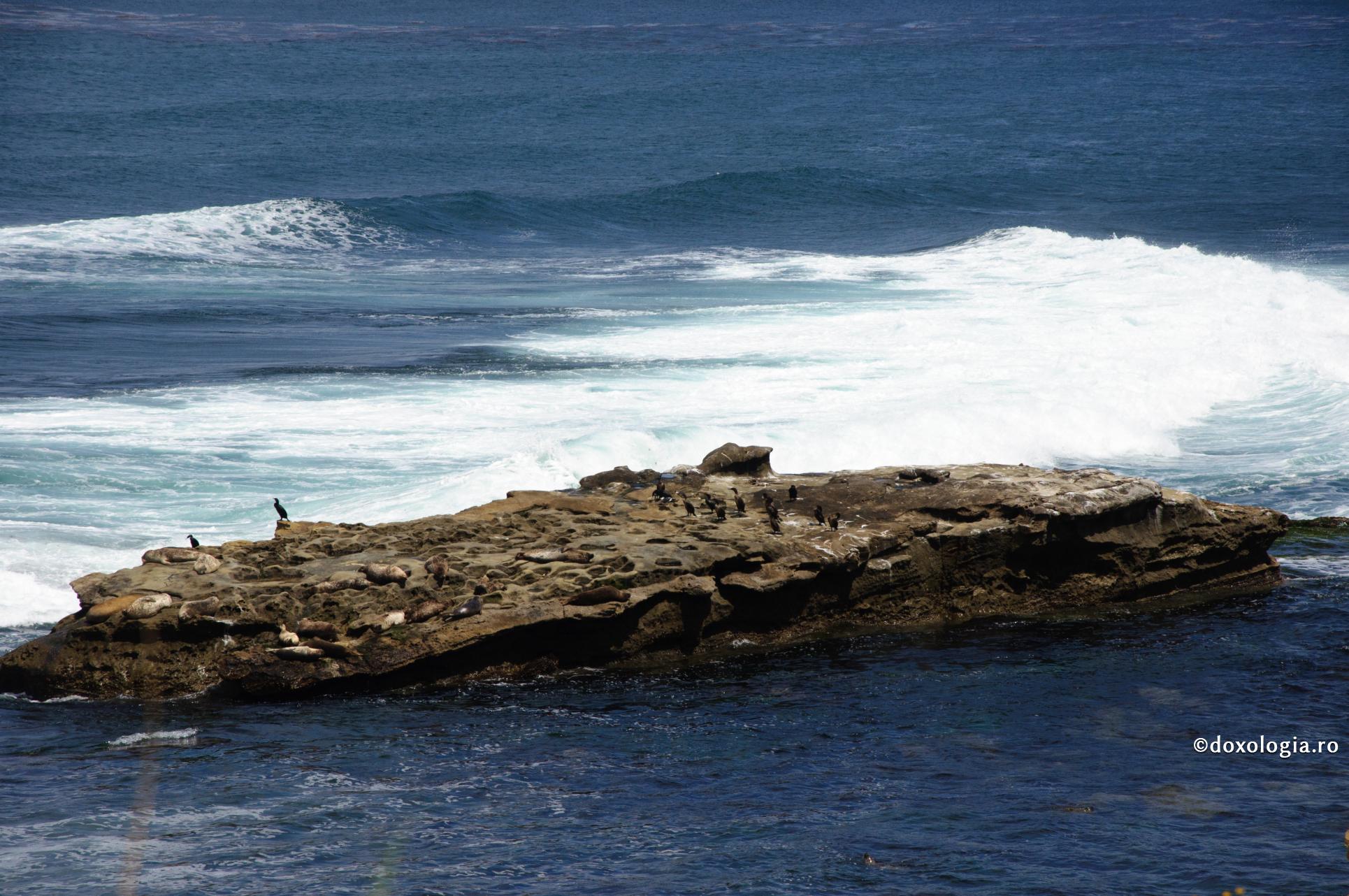 Cum lucrează în sfinți feluritele harisme și lucrări ale Sfântului Duh