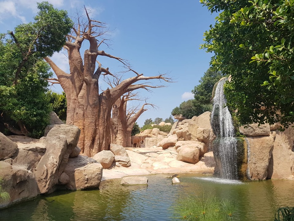 Tabără de vară la Torrent–Vedat