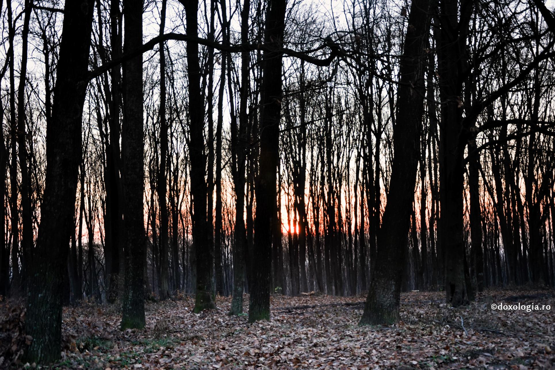 Să nu amestecăm faptele noastre bune cu fățărnicia!