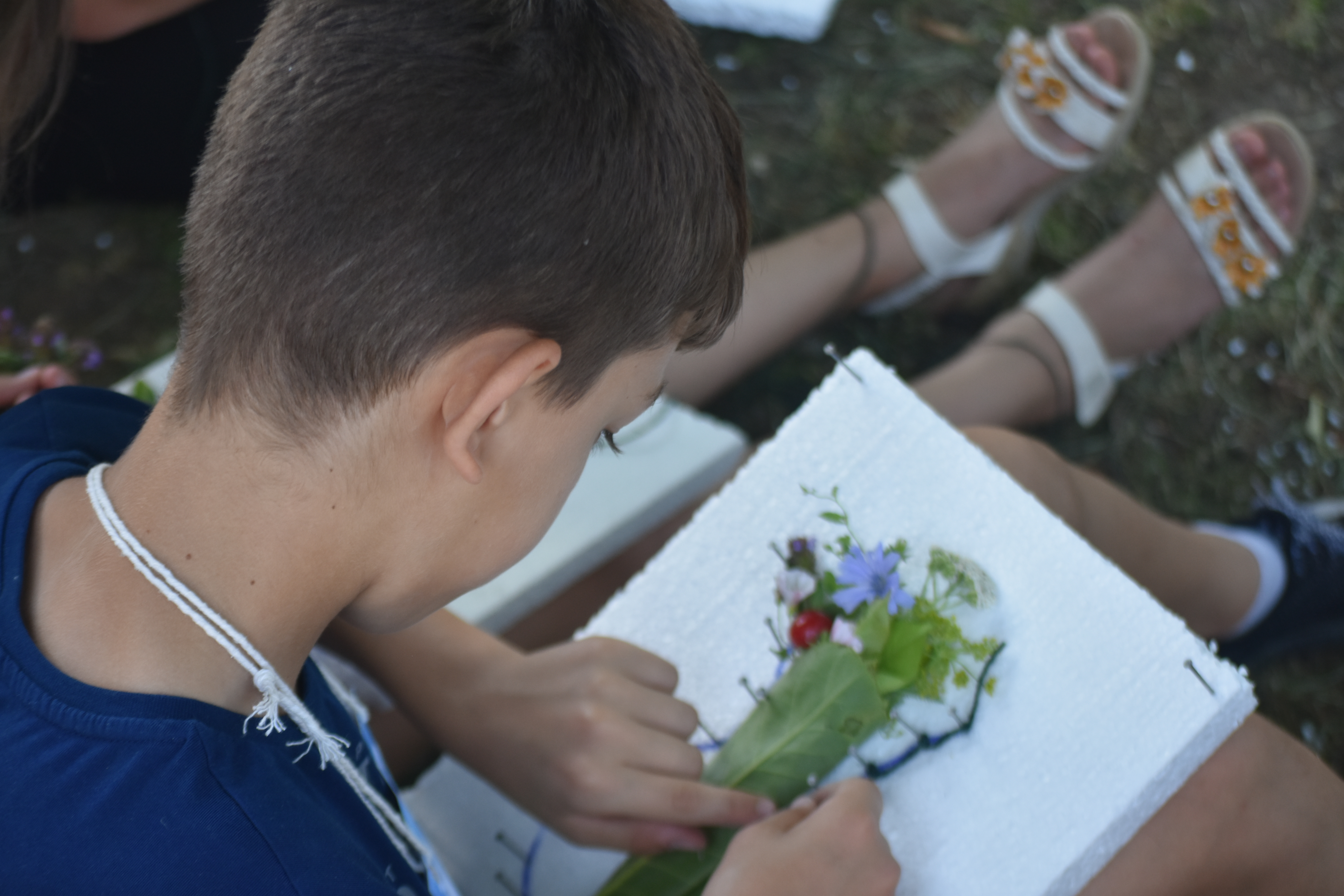 Tabăra din pridvorul satului – Hârțești 2019