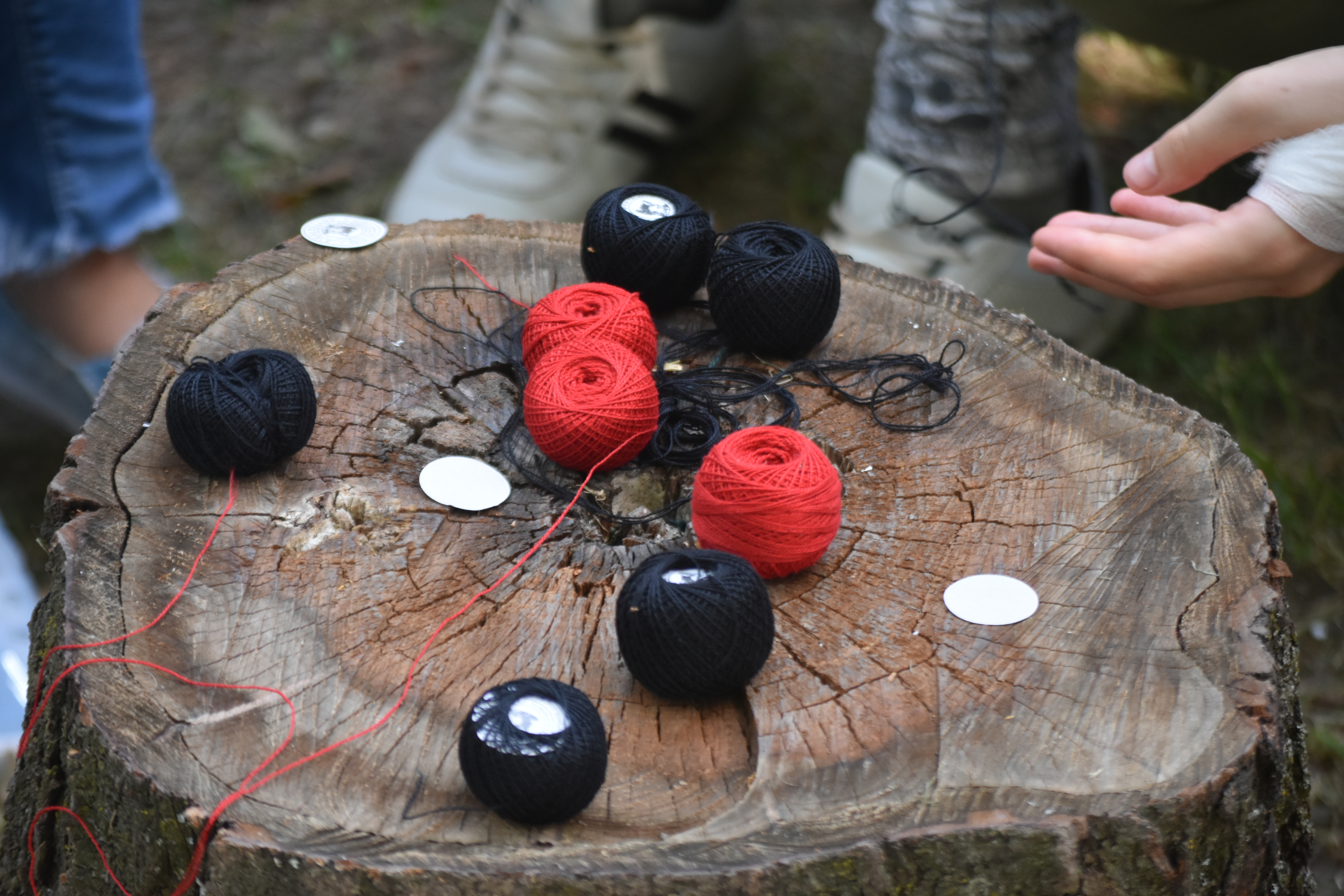 Tabăra din pridvorul satului – Hârțești 2019