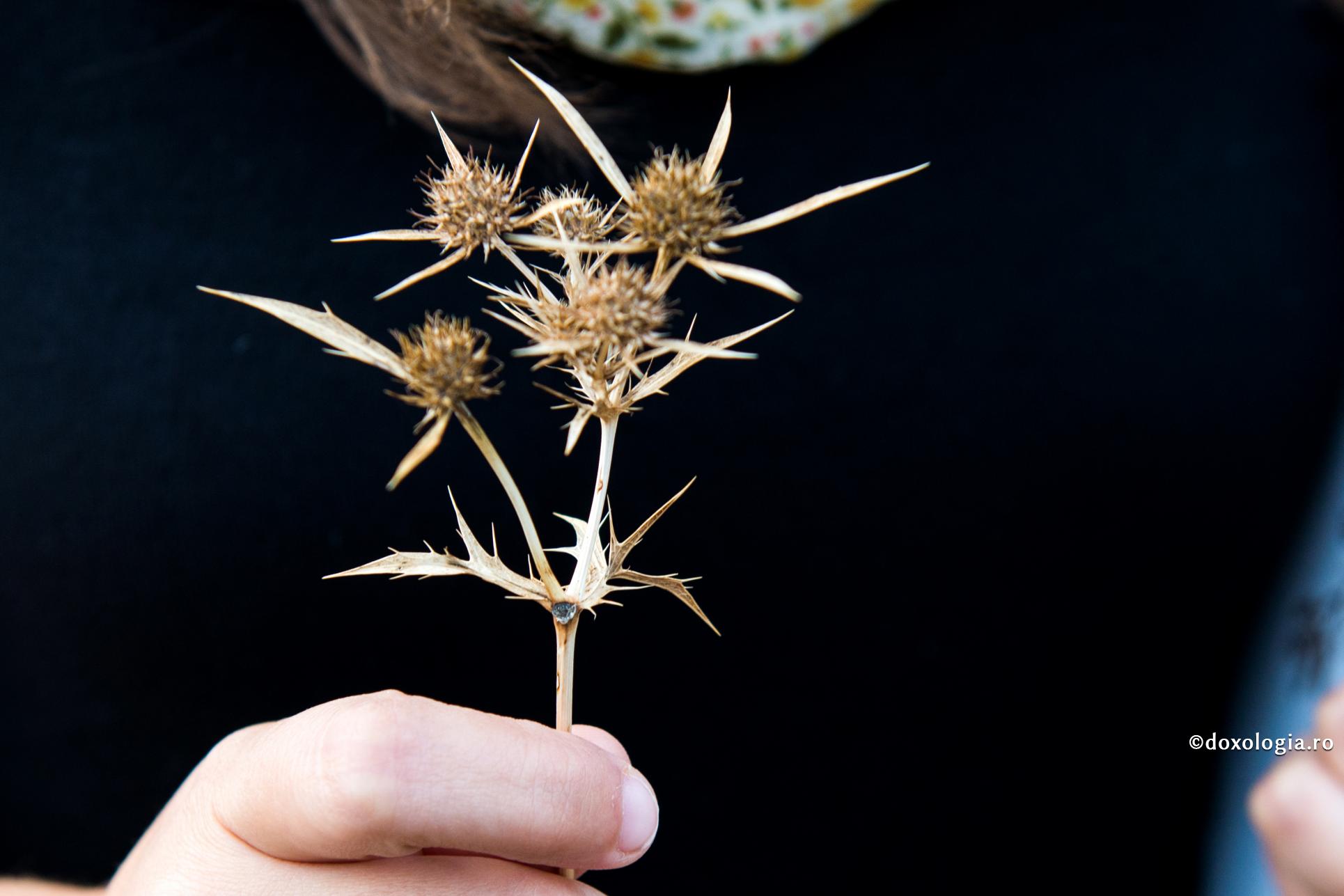 De trei feluri este minciuna