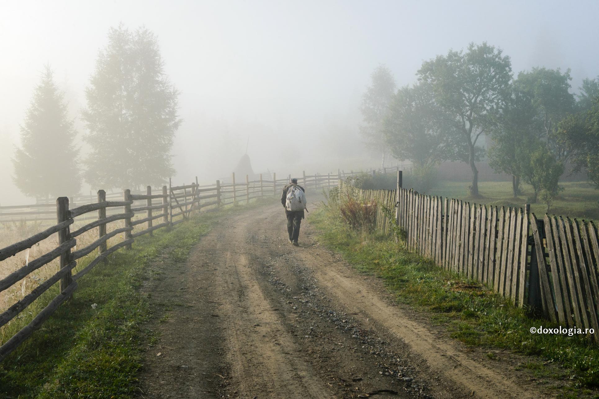 om cu raniță în spate pe drum de țară