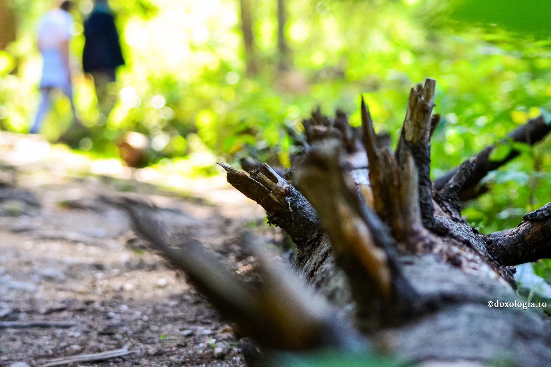 Nedreptățile de pe pământ își vor primi răspunsul la Dreapta Judecată a lui Dumnezeu