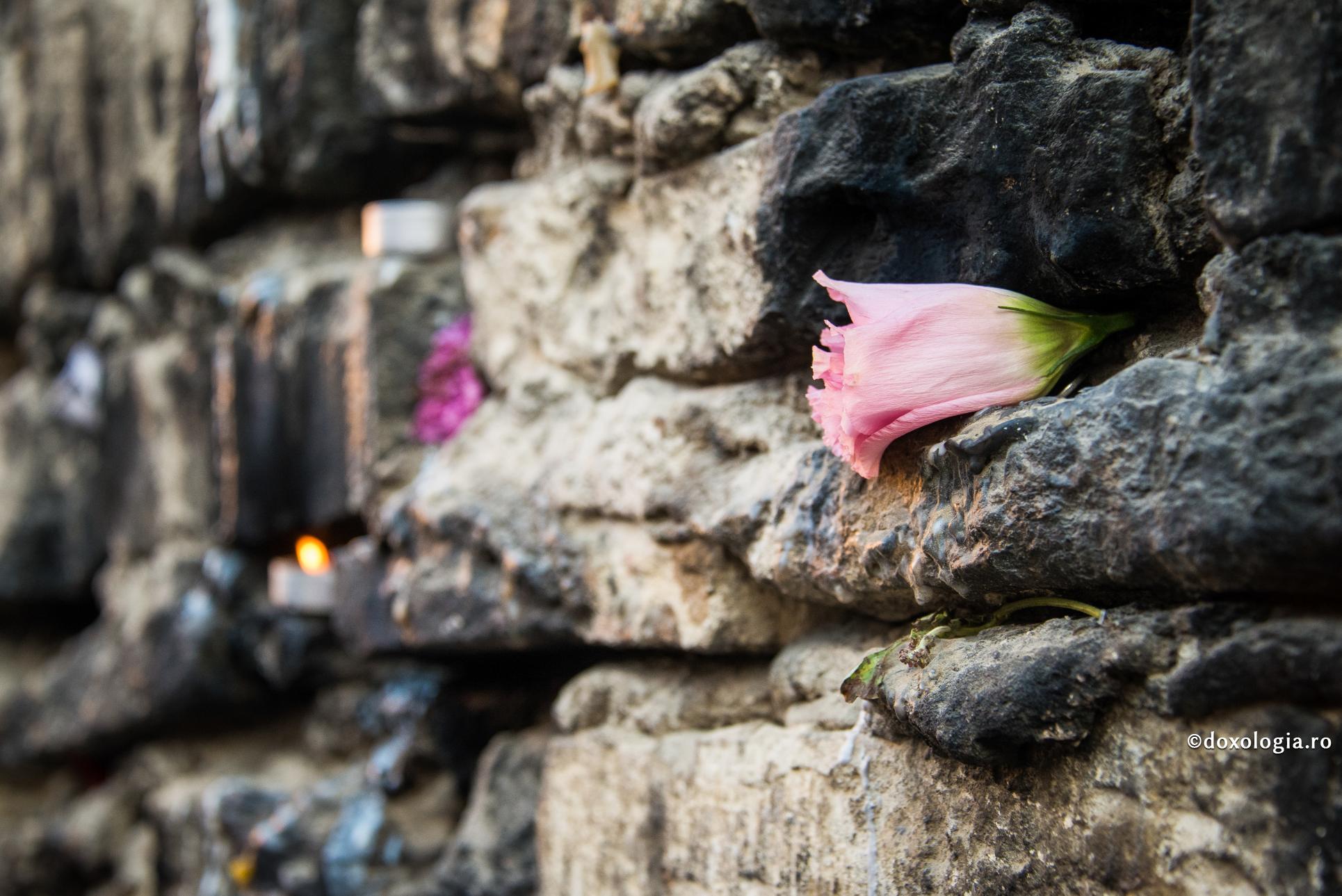 Prin neascultare și egoism pierdem legătura cu aproapele