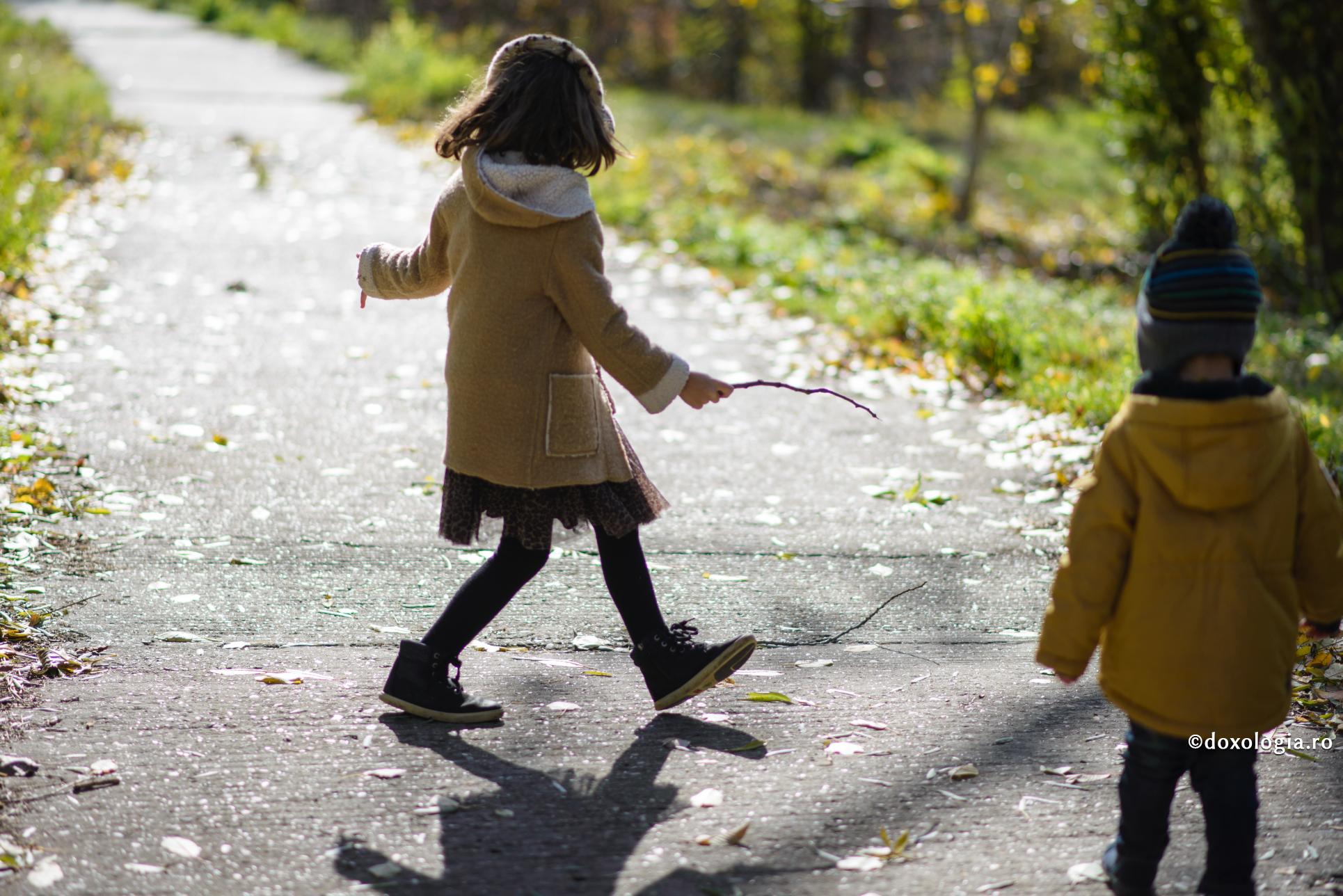 Cum se naște invidia dintre frați?