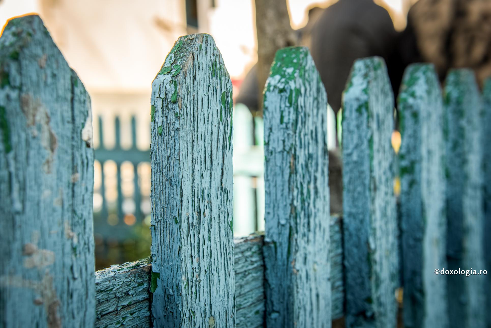 (Video) Răbdarea necazurilor – o cale extraordinară către bucurie