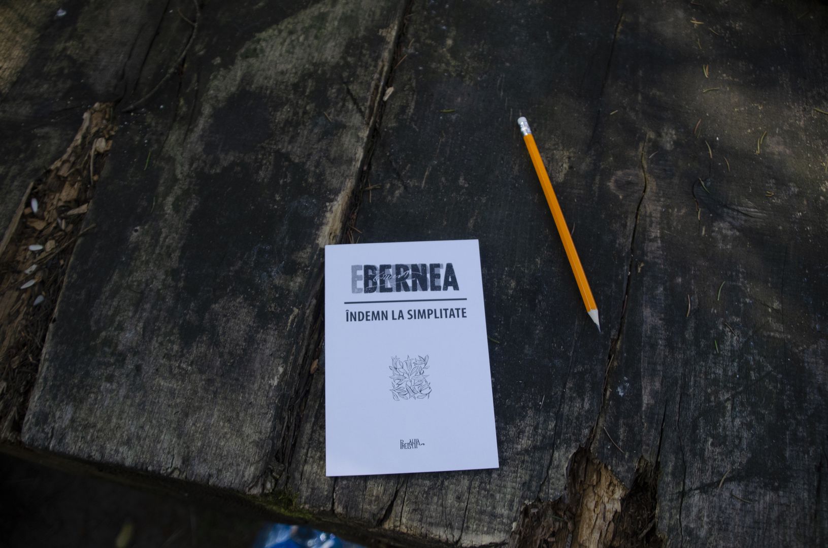 Clipe de bucurie pentru voluntarii Taberei Nemțișor