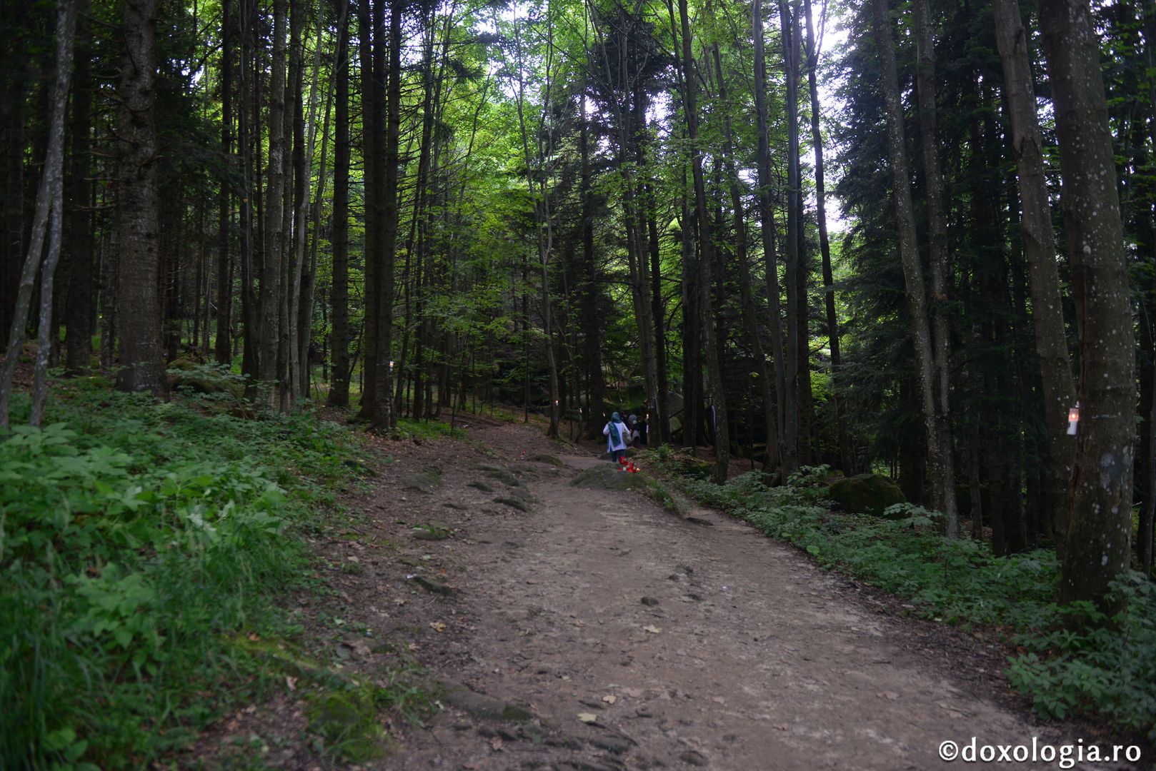 Părintele Mitropolit Serafim la Mănăstirea Sihla: „Pentru că a făcut această asceză, Sfânta Teodora a biruit firea ei pământească”