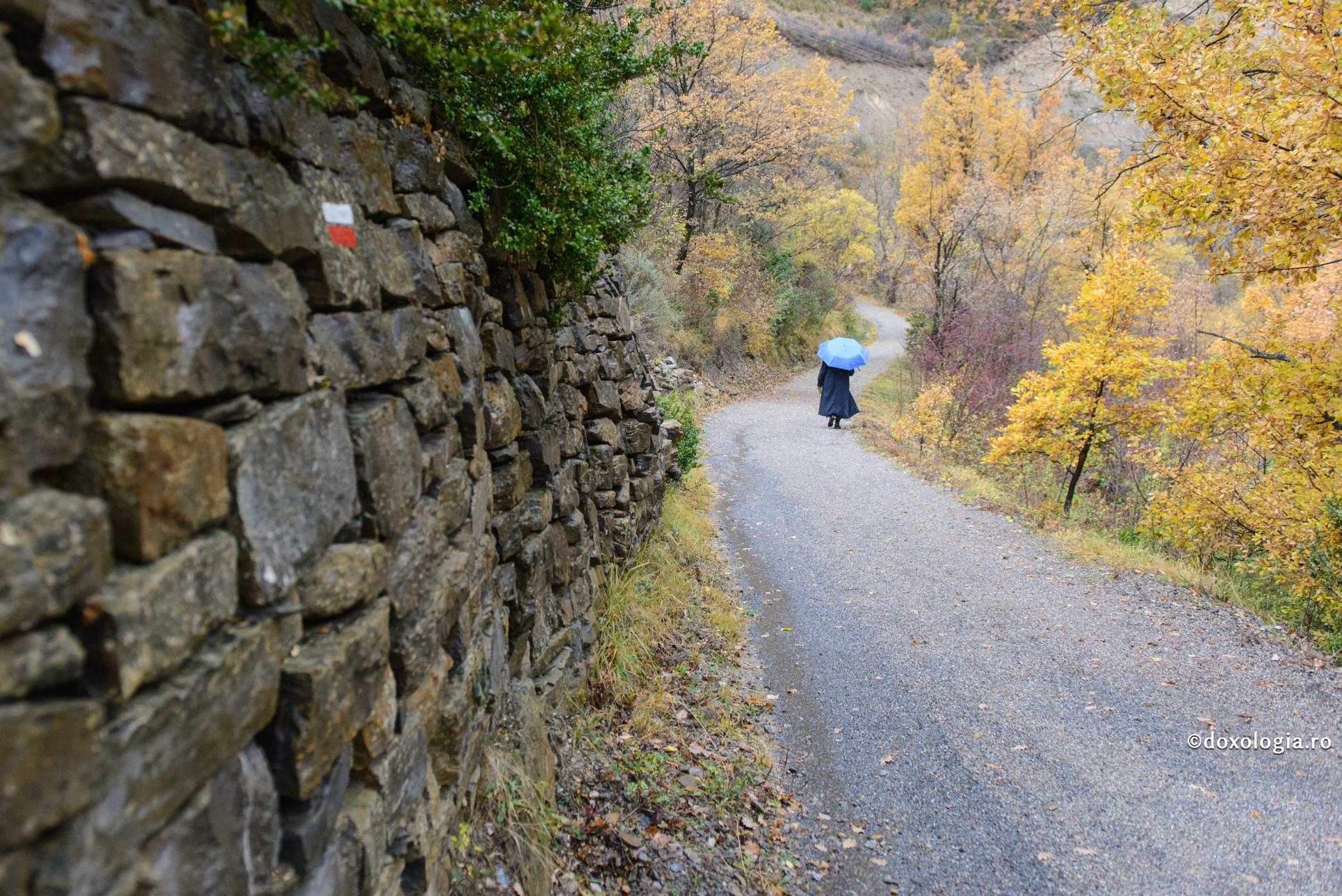 Sfaturi pentru parcurgerea drumului duhovnicesc