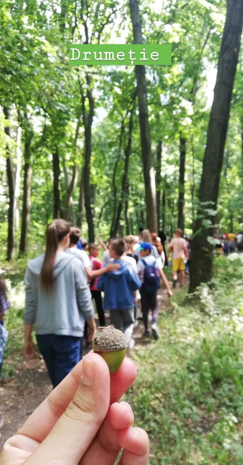 Tabăra de vară „Nordevară” în comuna Todirești - Iași