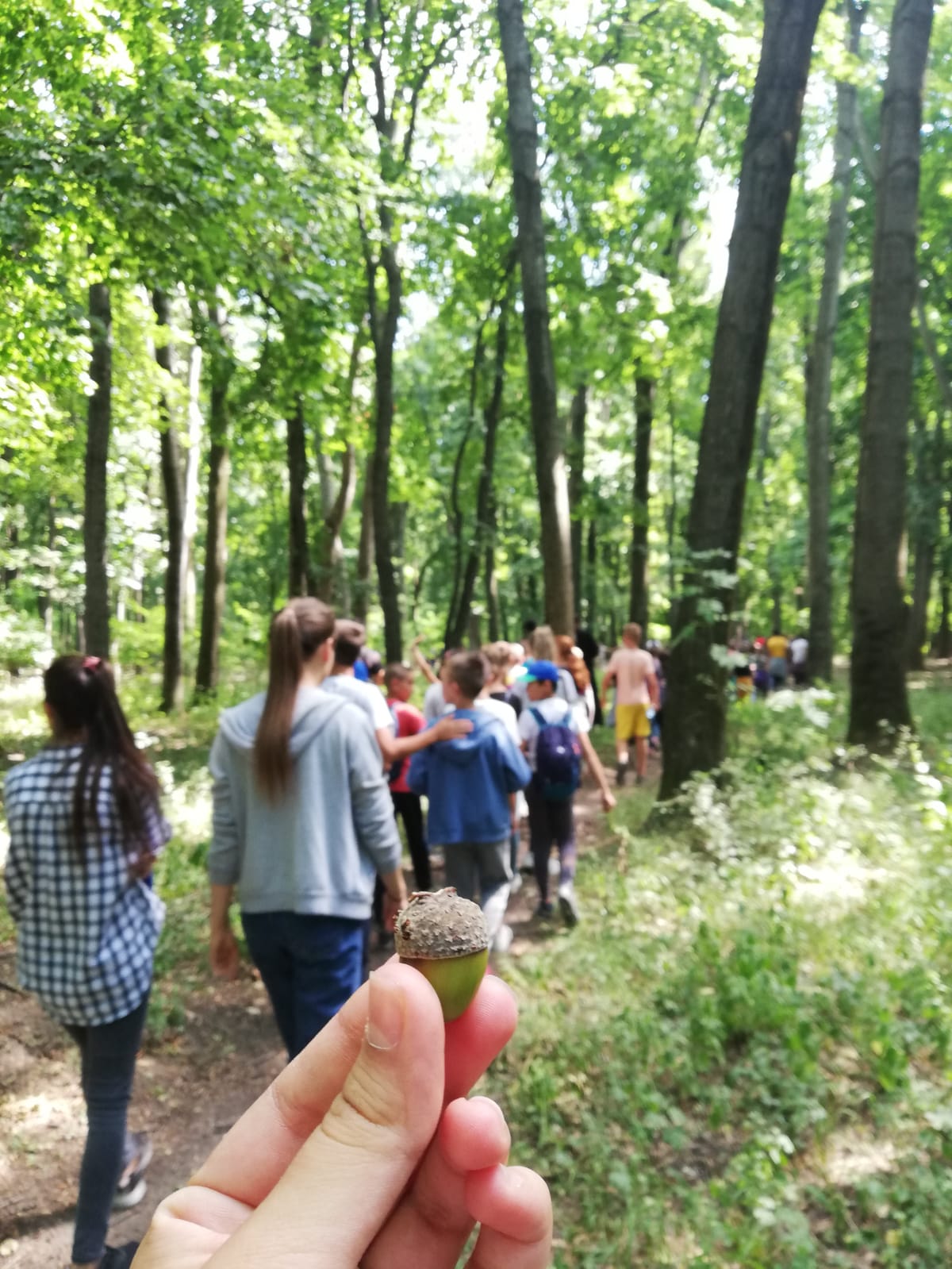 Tabăra de vară „Nordevară” în comuna Todirești - Iași