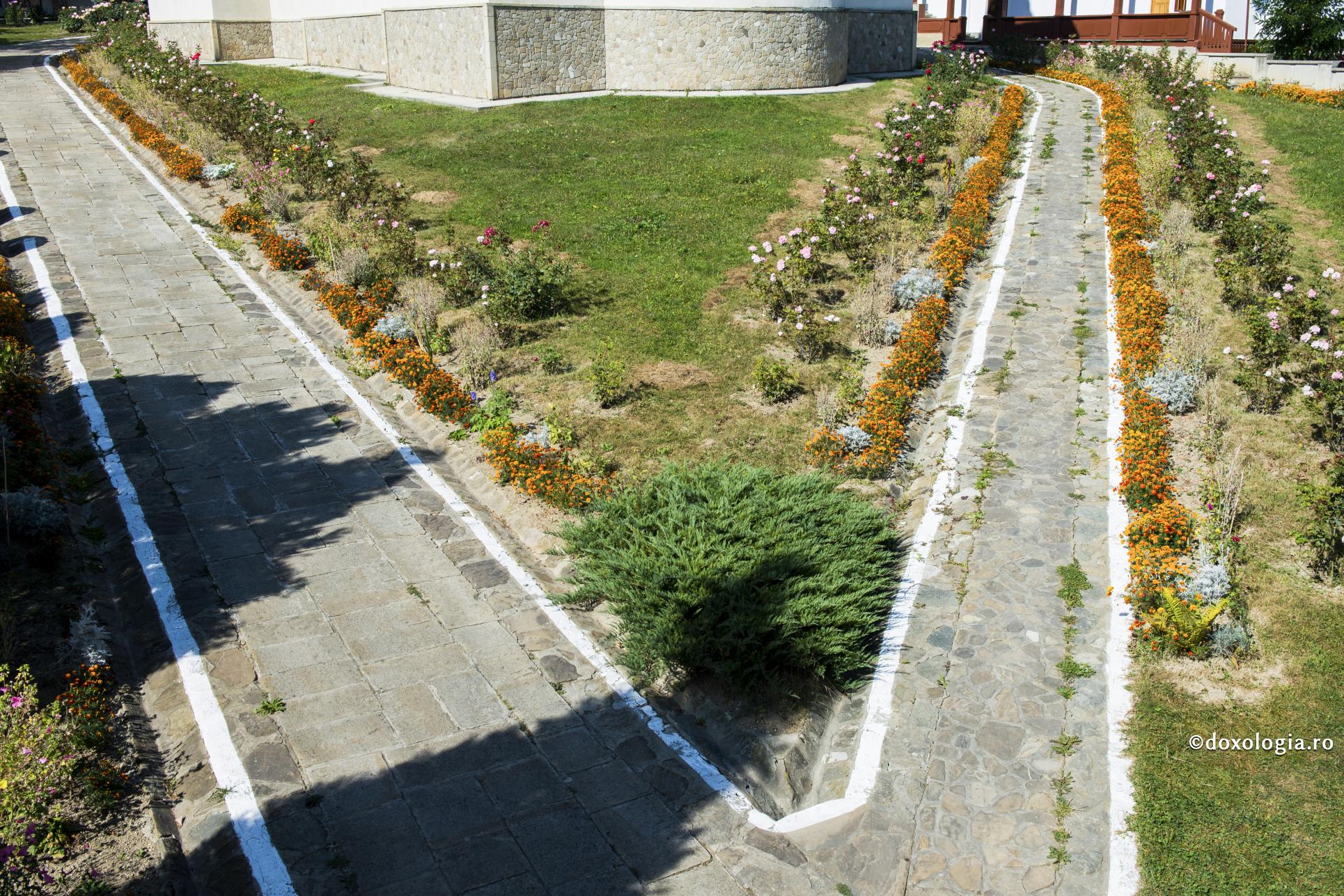 Vreţi normalitate? Amintiţi-vă de referendum