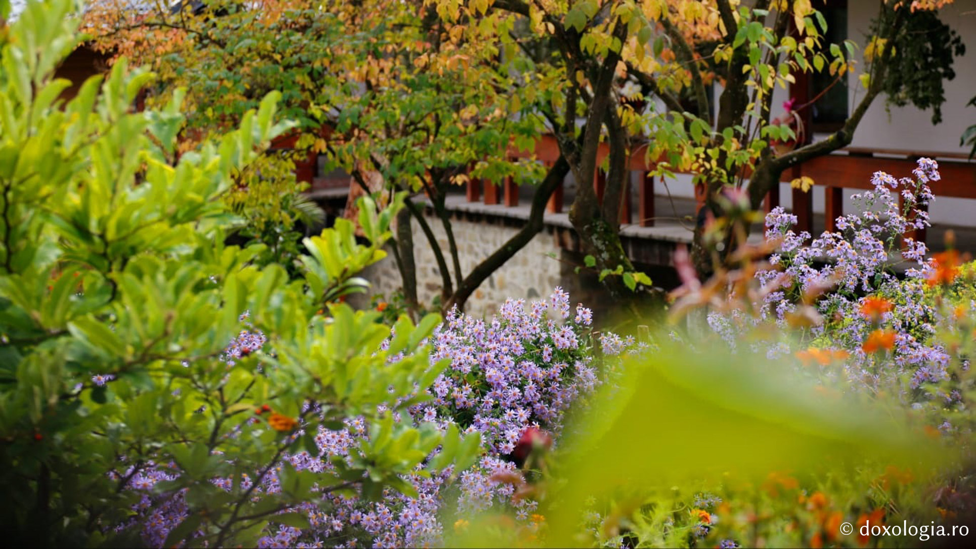 (Foto) Peisaj de toamnă la Mănăstirea Sihăstria