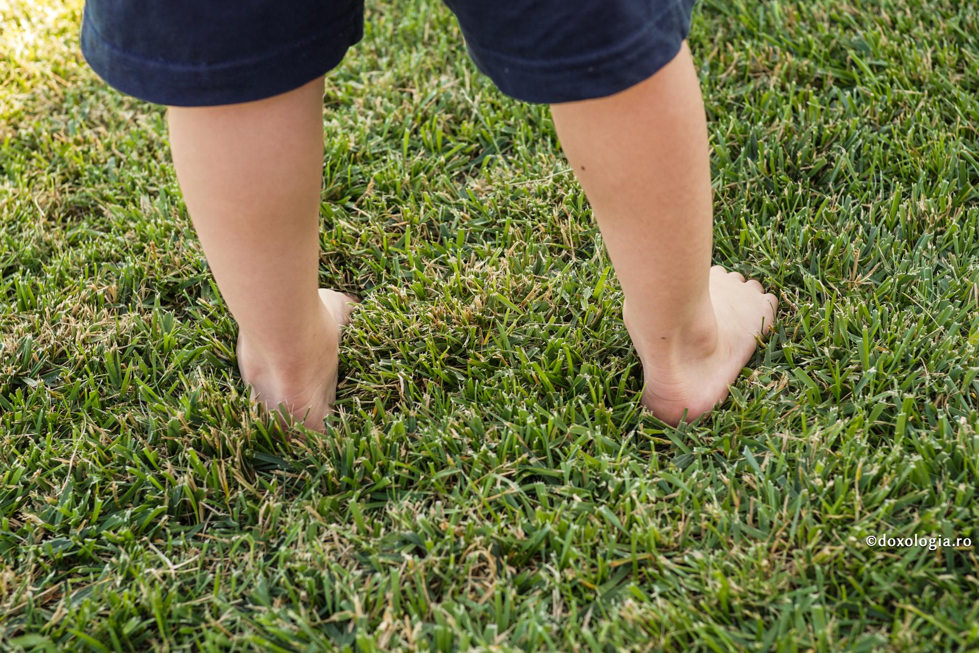 Ezitarea părinţilor duce la tirania copiilor