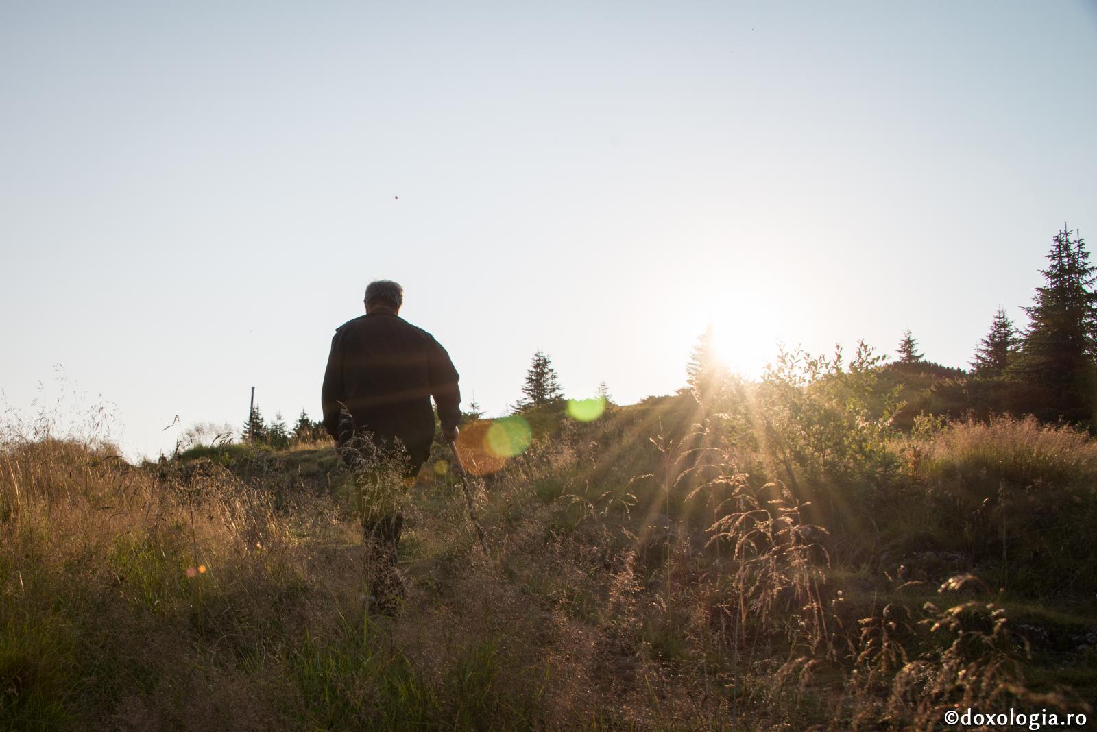 Mândria este mai rea decât toate fiarele