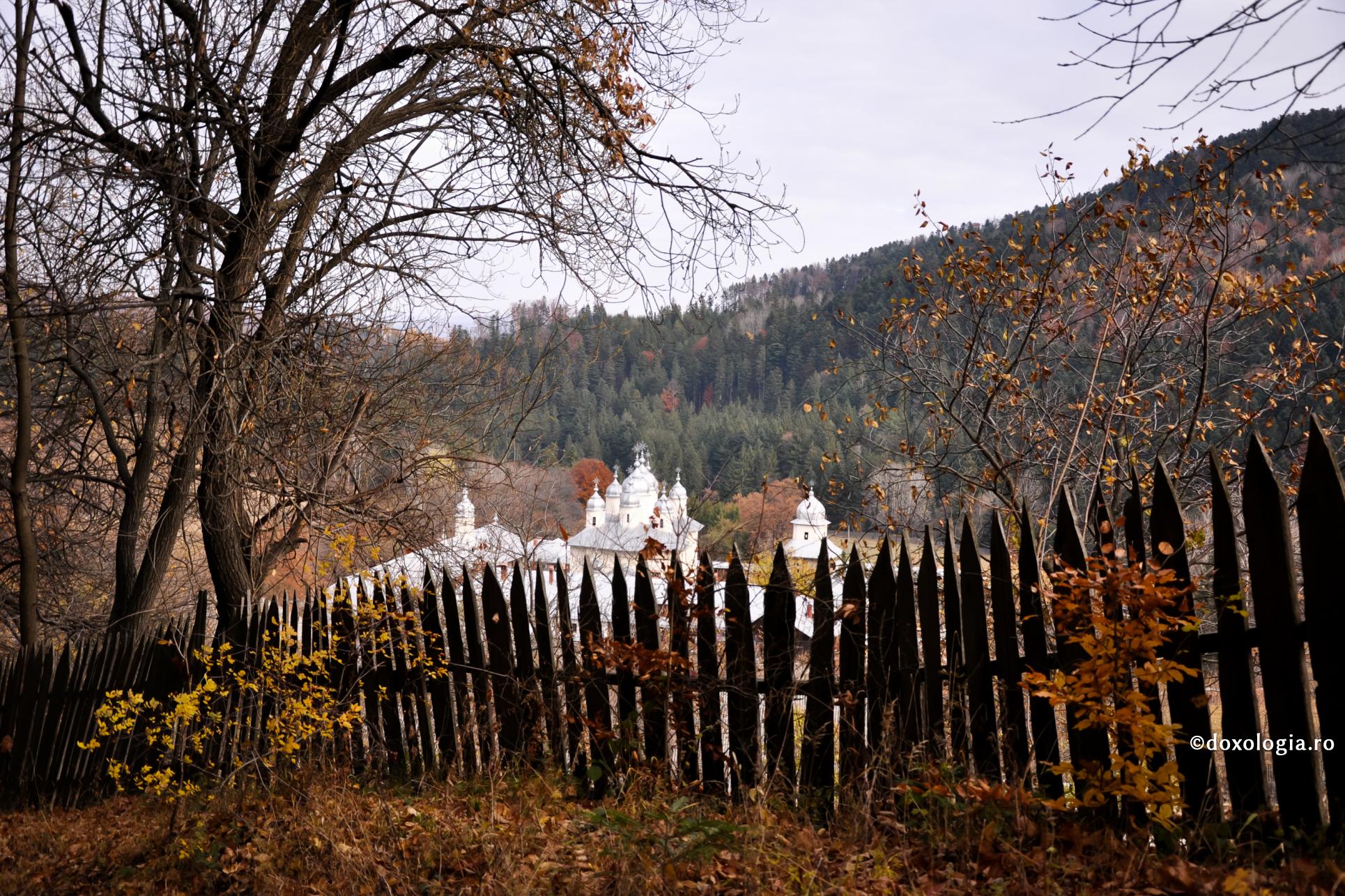 Mănăstirea Horaița