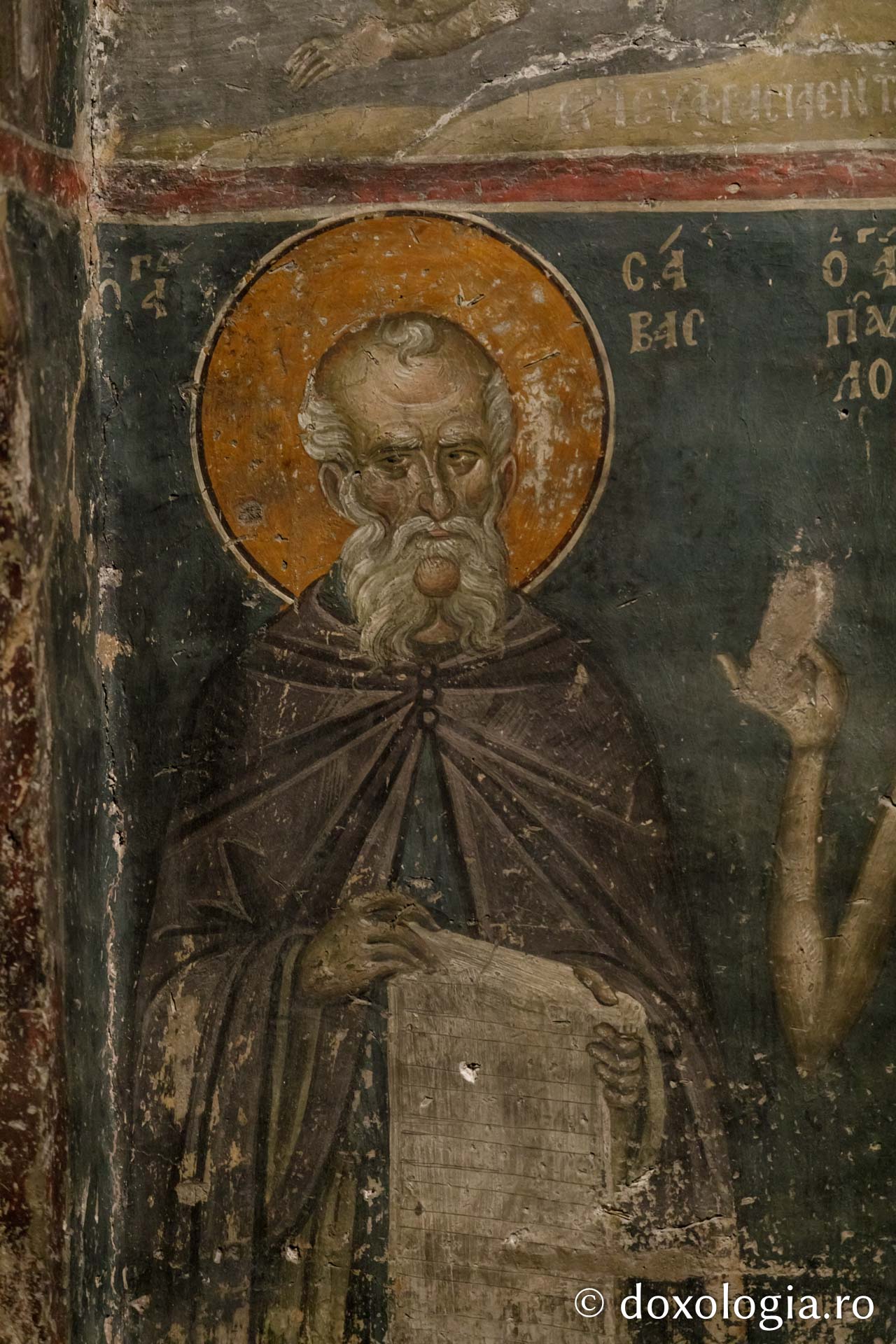 Sfântul Cuvios Sava cel Sfințit