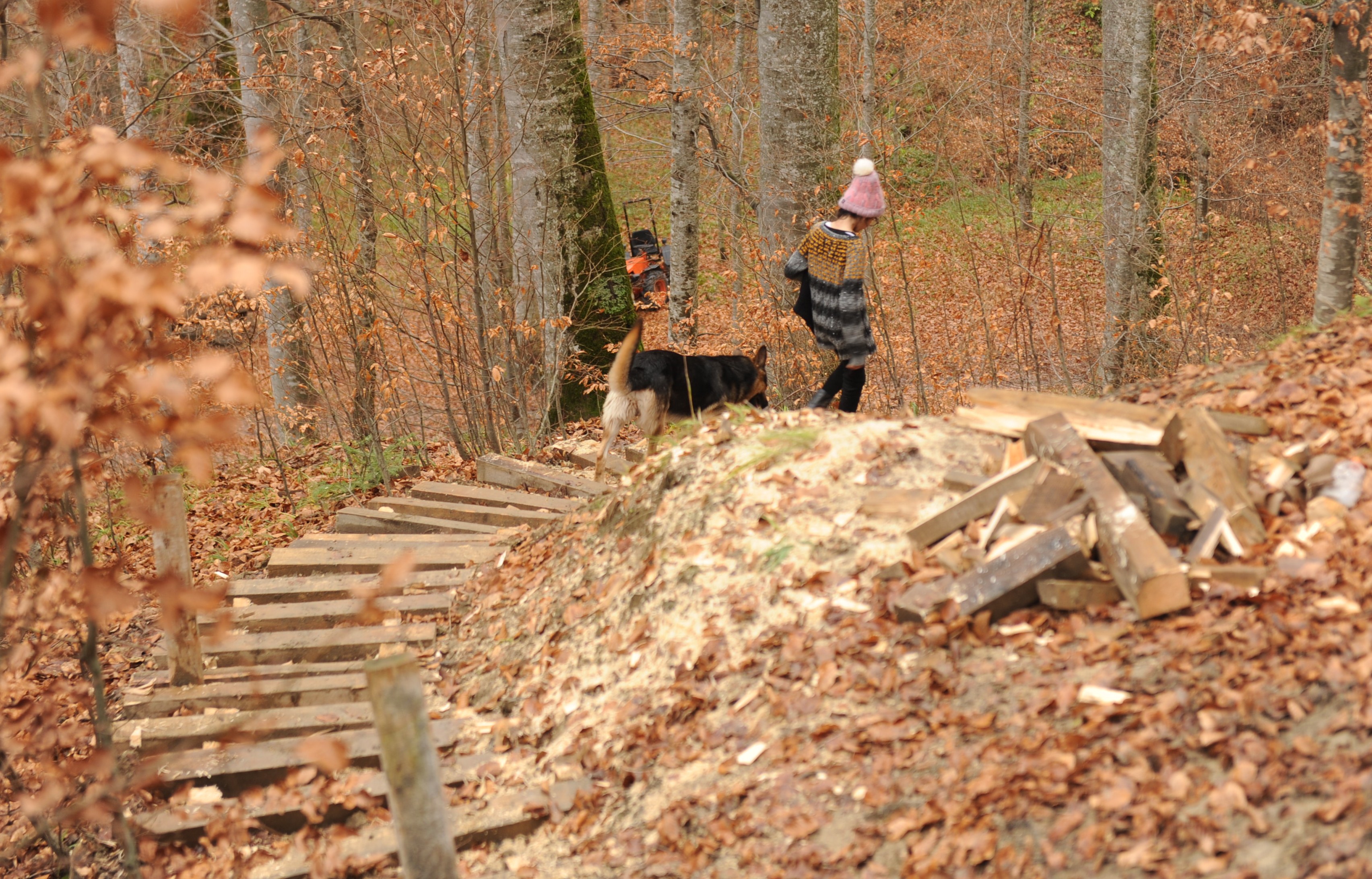 Oamenii pentru care Ziua României e permanent