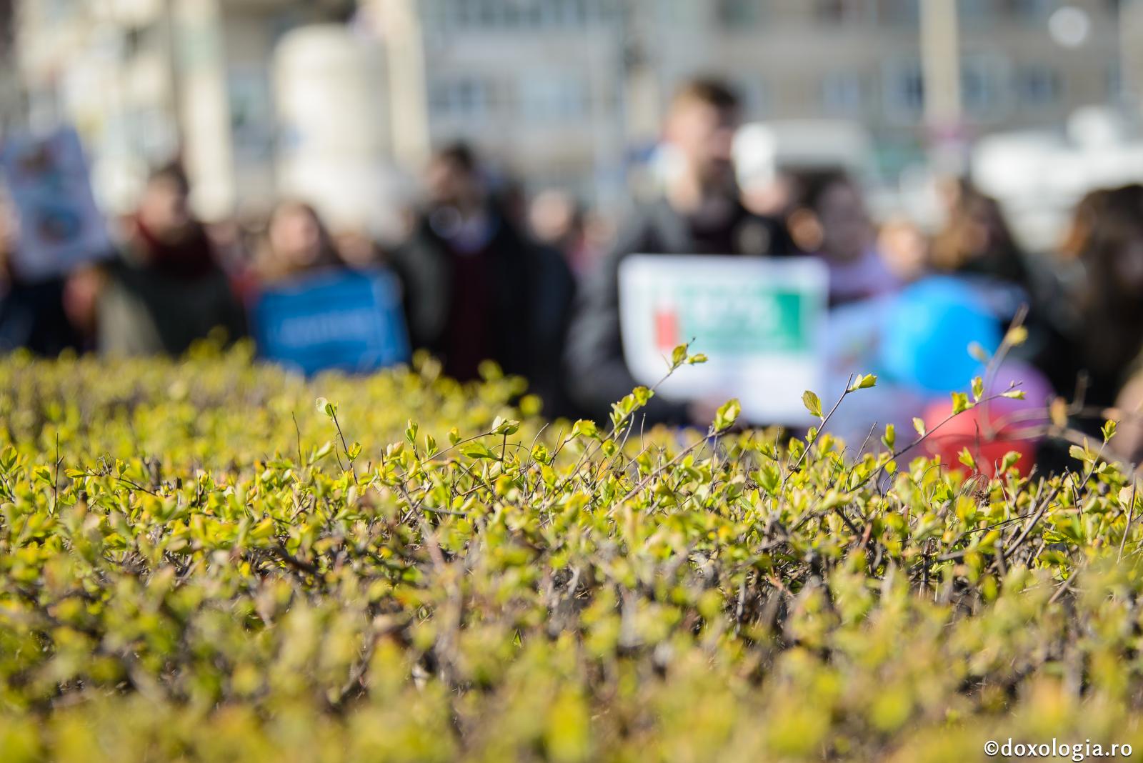 Trei decenii din două milenii