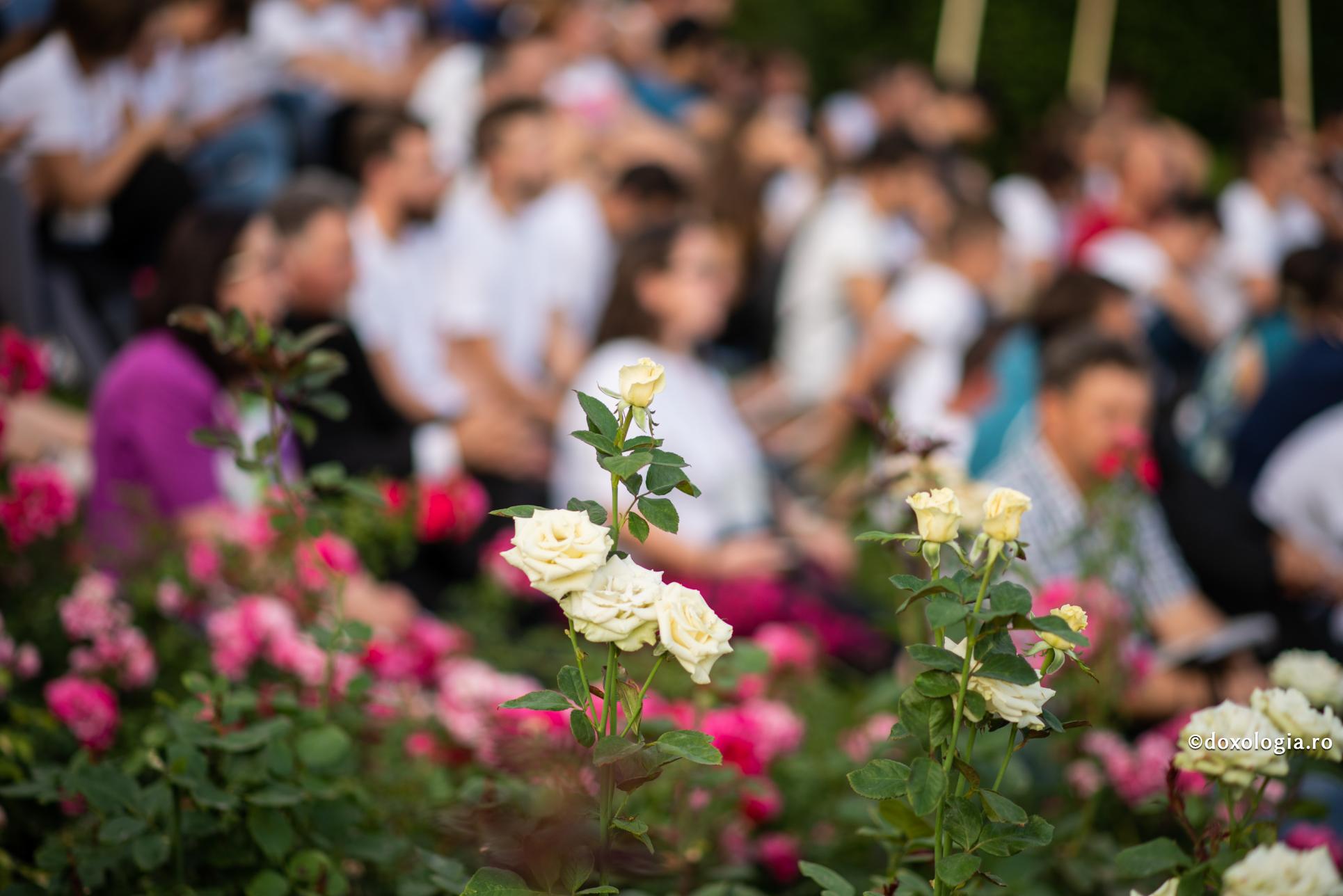 Poruncile date mirenilor