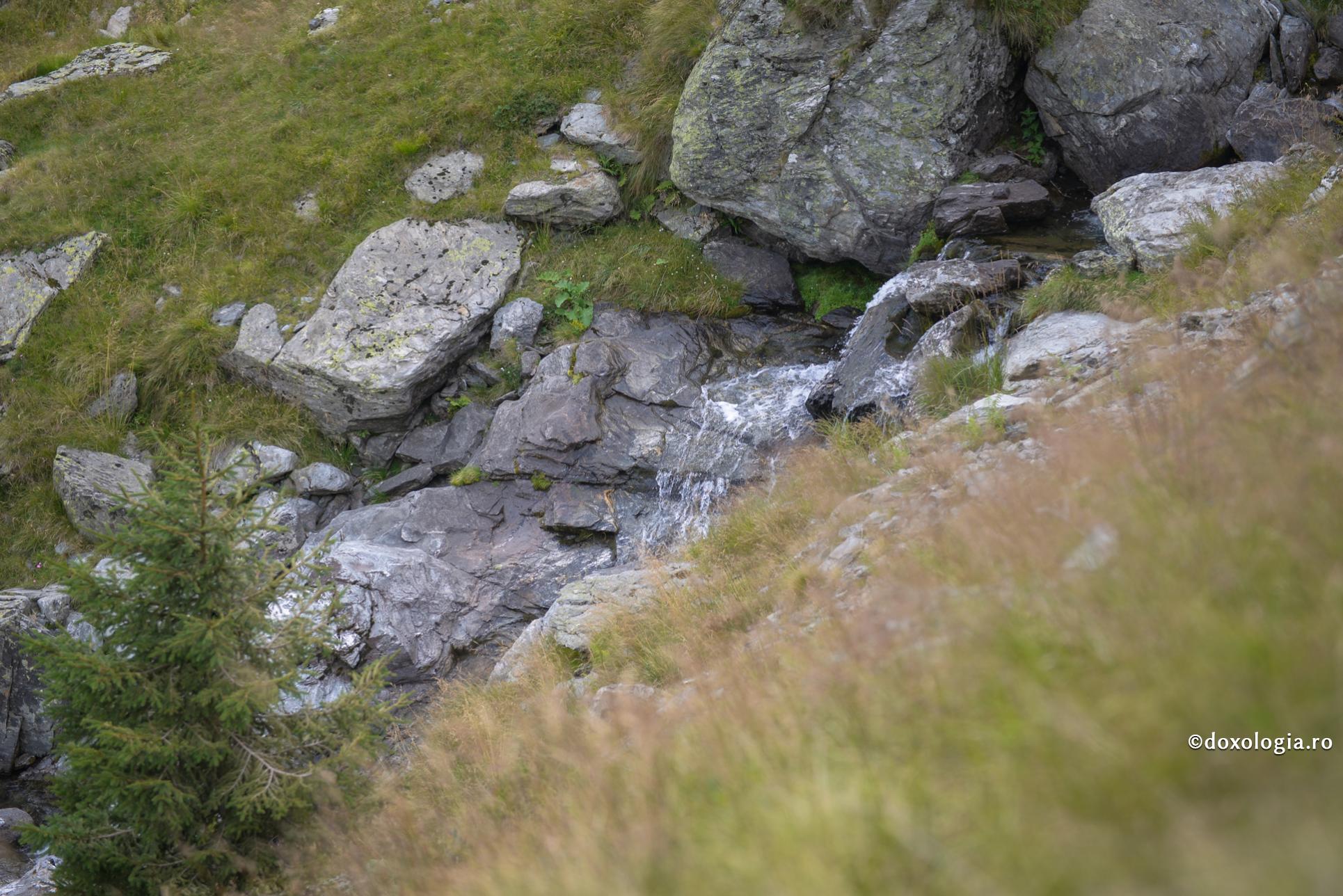 Postul și consumul de lichide