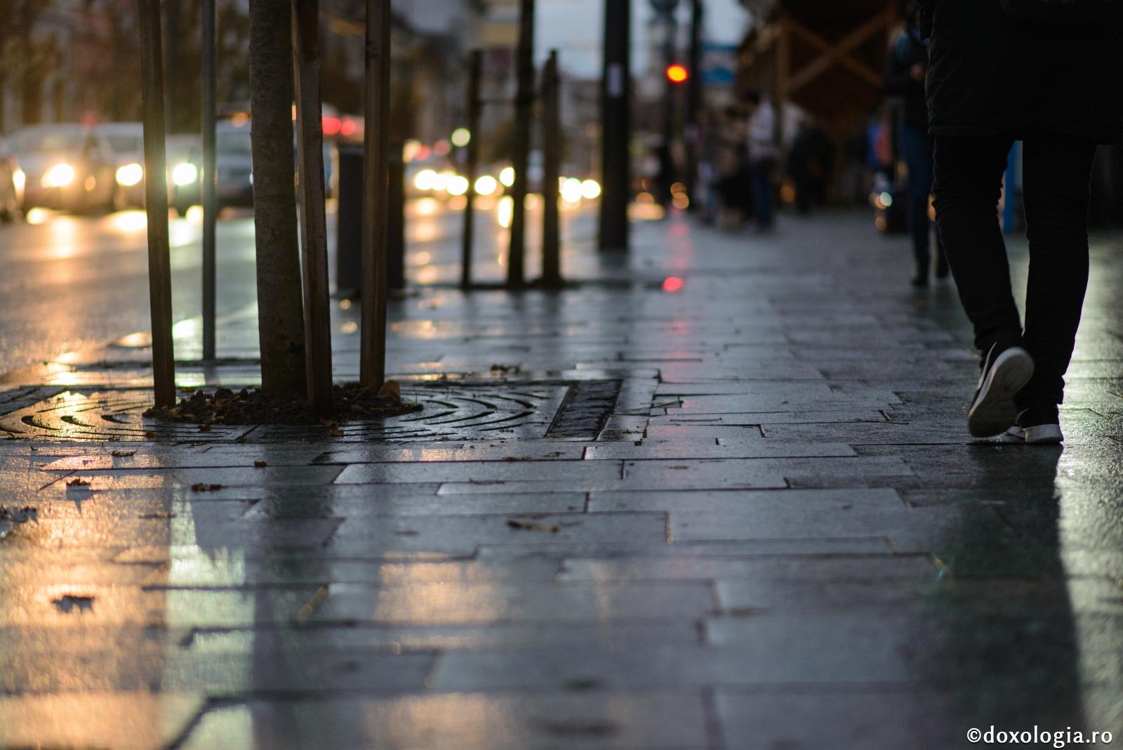 Orice îndulcire vremelnică este vădită înşelare şi împovărare a sufletului