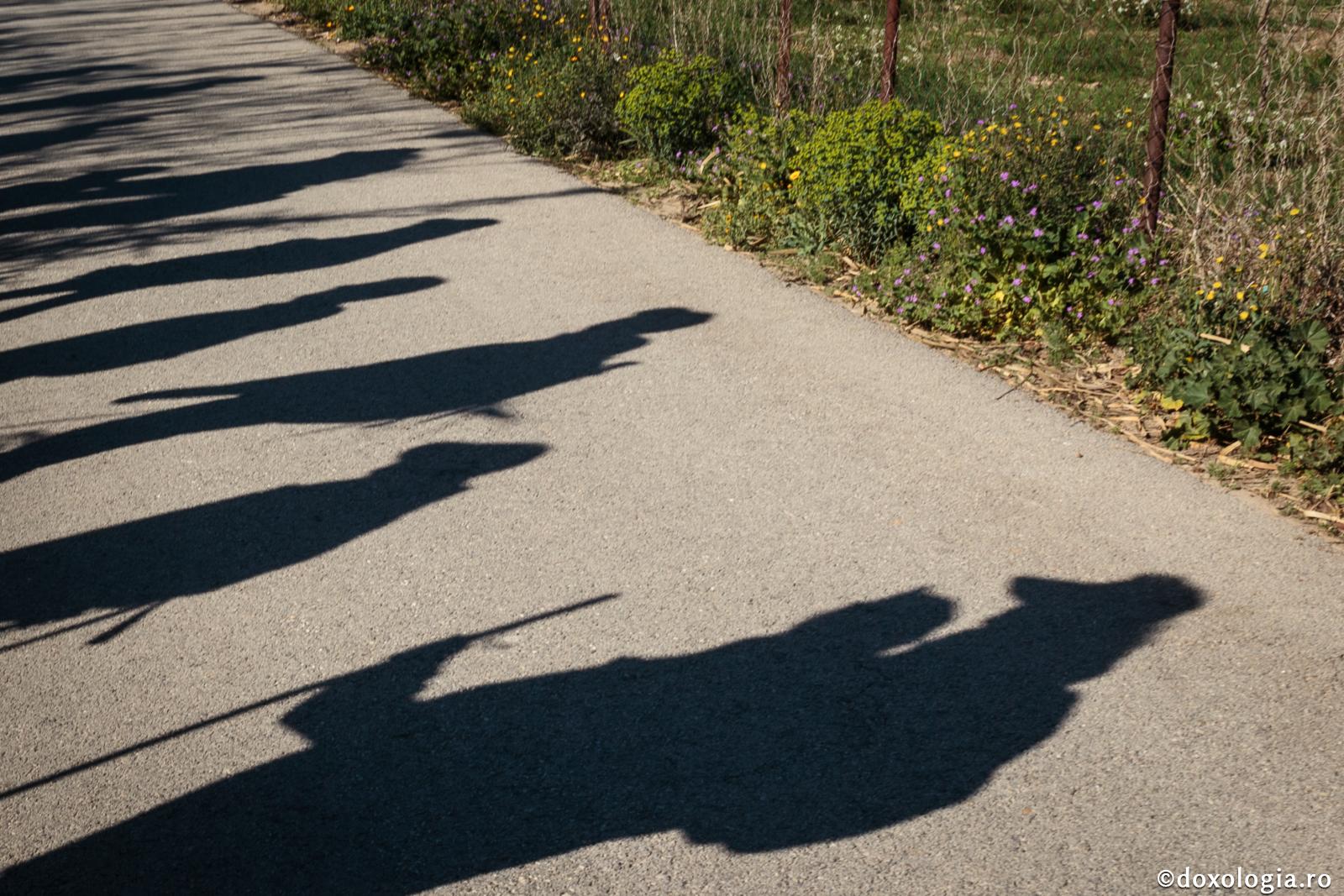 În viaţă nimic nu este banal, mărunt, neînsemnat!