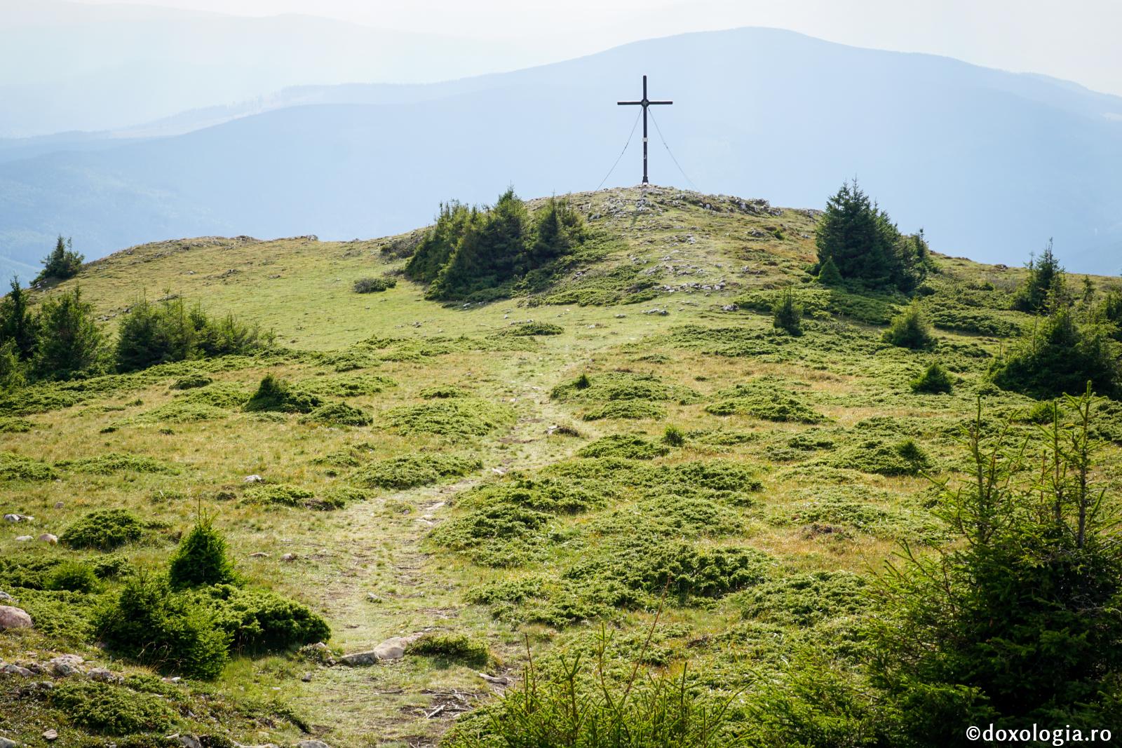 Răbdare pe calea Domnului