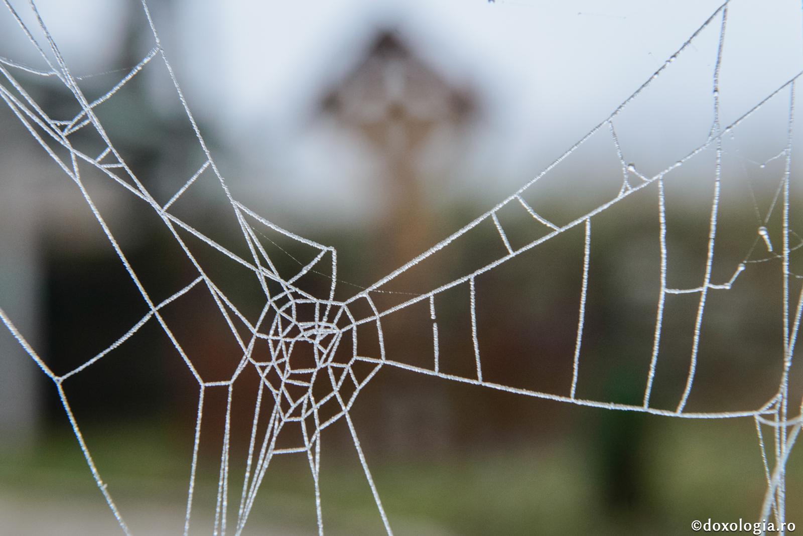 Omoară patimile cele de pe pământ şi vei avea odihna gândurilor